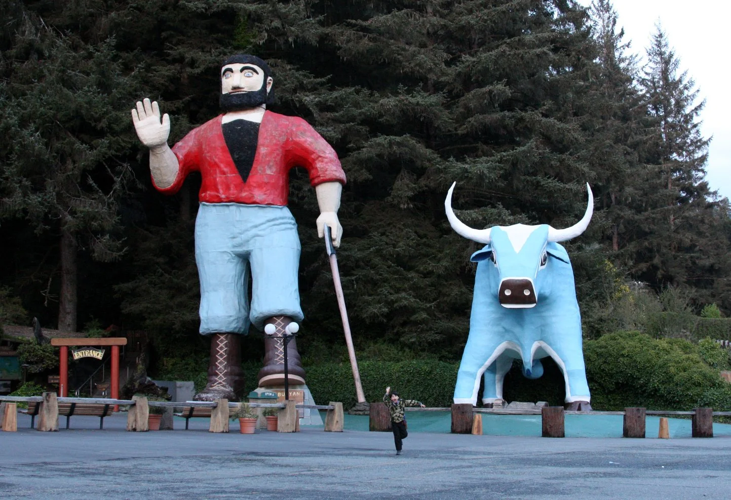 2010-3-29 REDWOODS NATIONAL PARK SUNSET - SPRING TRIP TO CAL 2010 (5).JPG