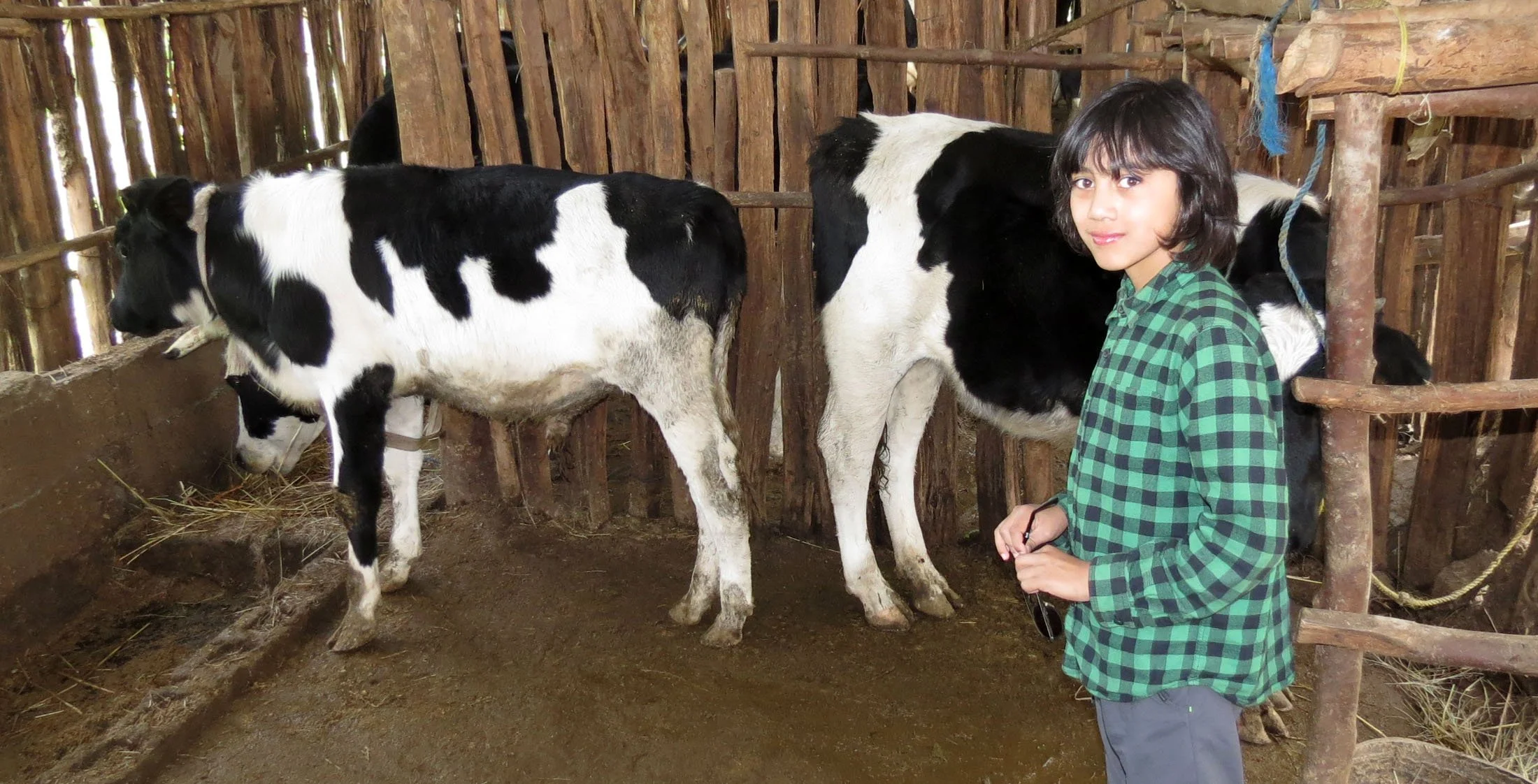 GONDAR ETHIOPIA (7).JPG