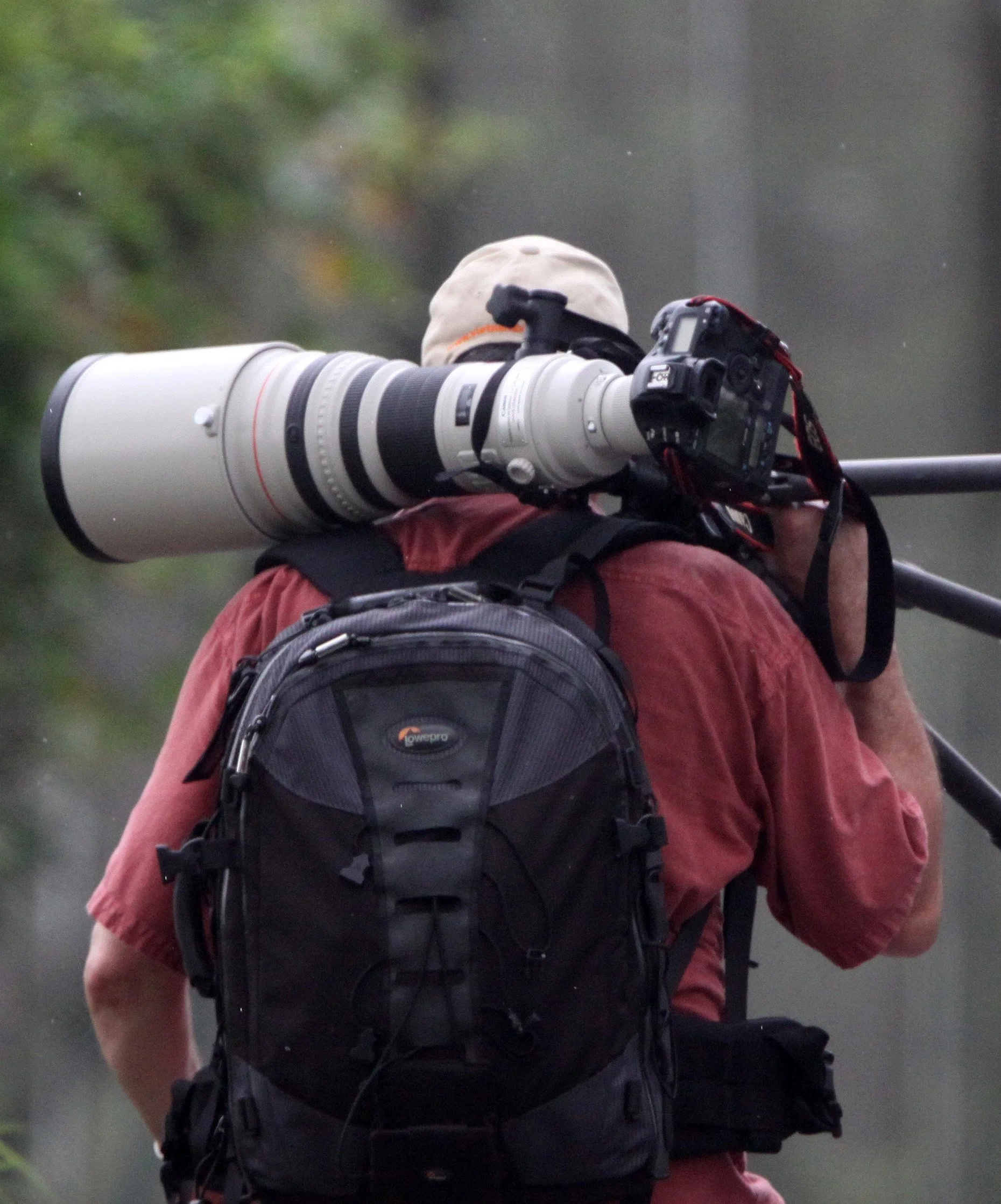 MAI PO WETLANDS HONG KONG (17).JPG