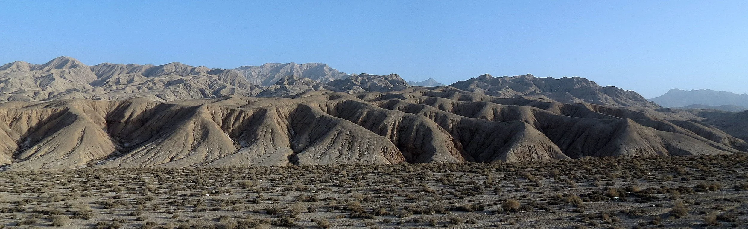 LOP NUR WILD BACTRIAN CAMEL RESERVE - XINJIANG CHINA (77).JPG
