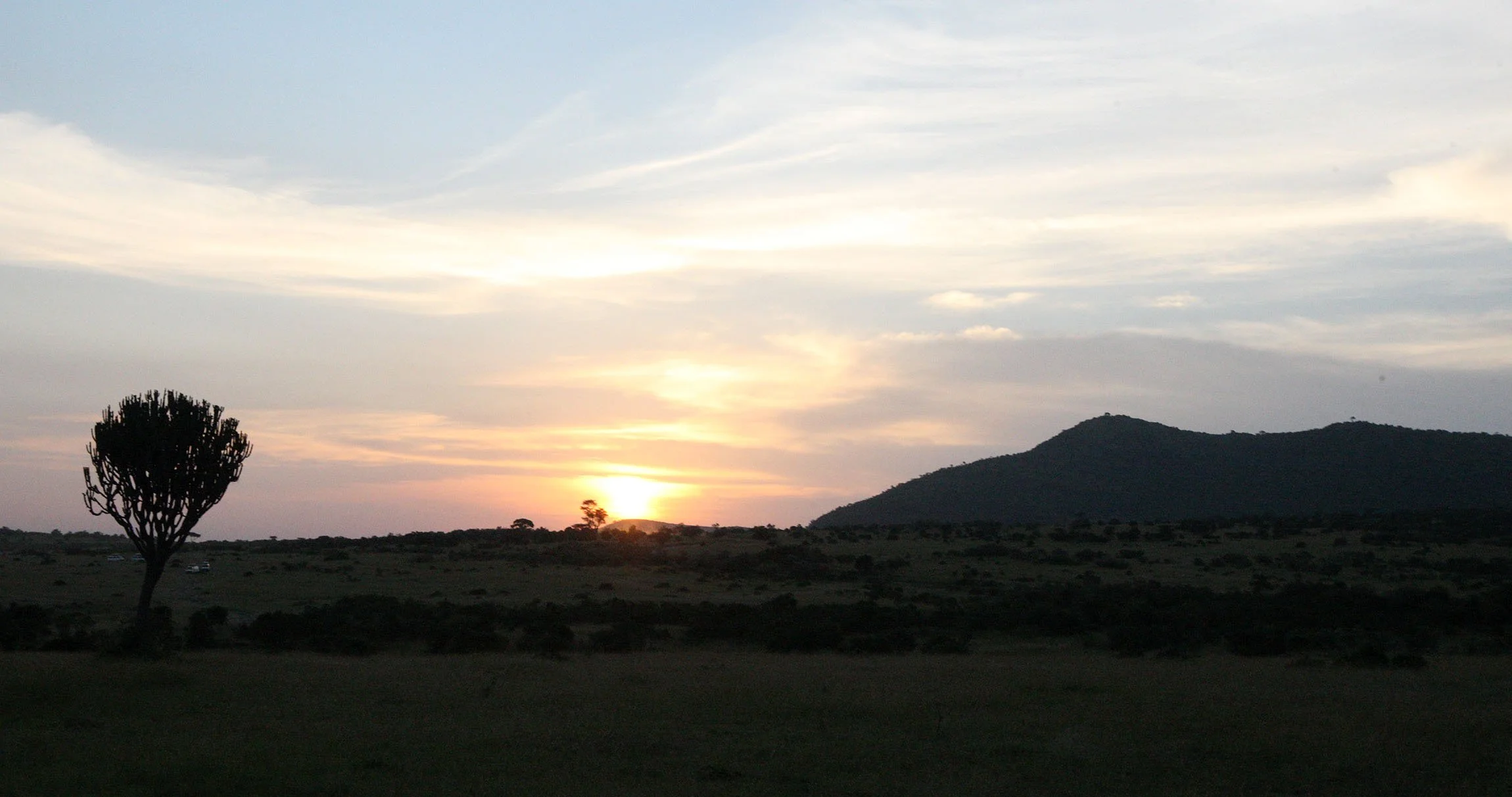 MASAI MARA NATIONAL PARK KENYA (32).JPG