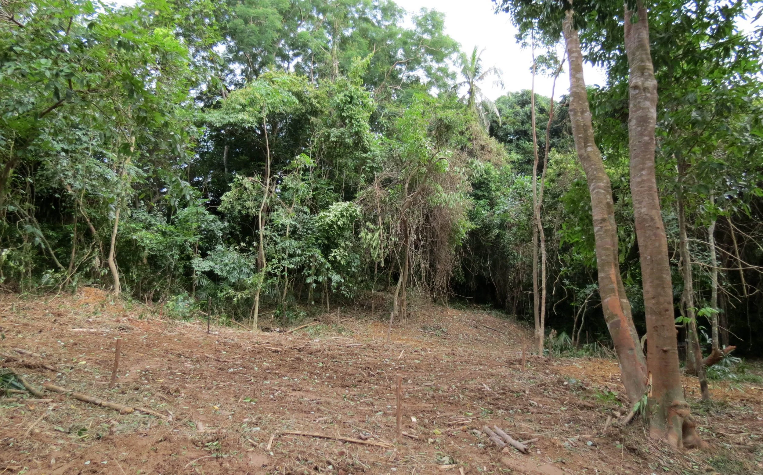 2014 Koh Lanta Build (20).JPG