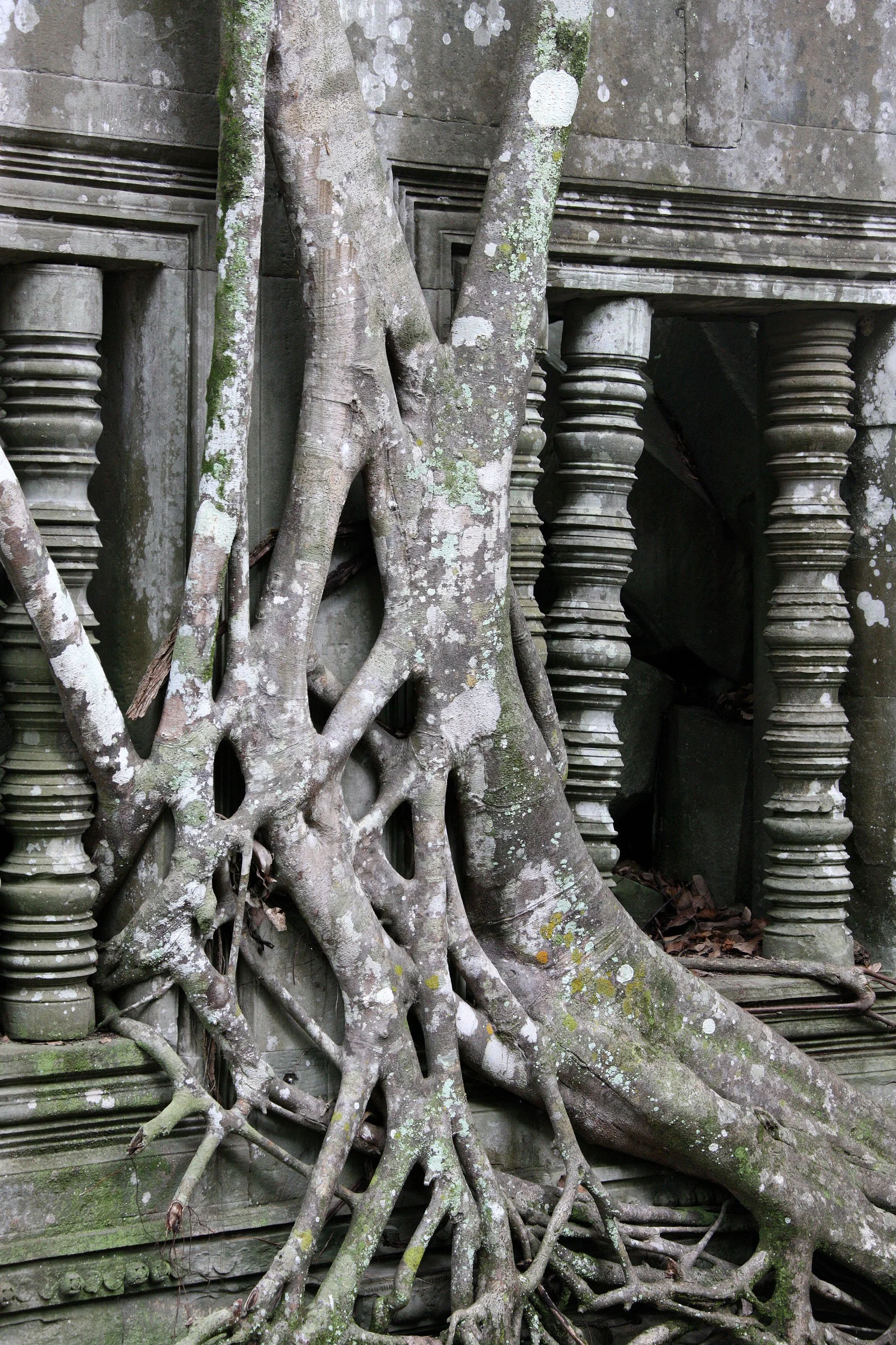 BENG MEALEA - CAMBODIA - JULY 2010 (47).JPG