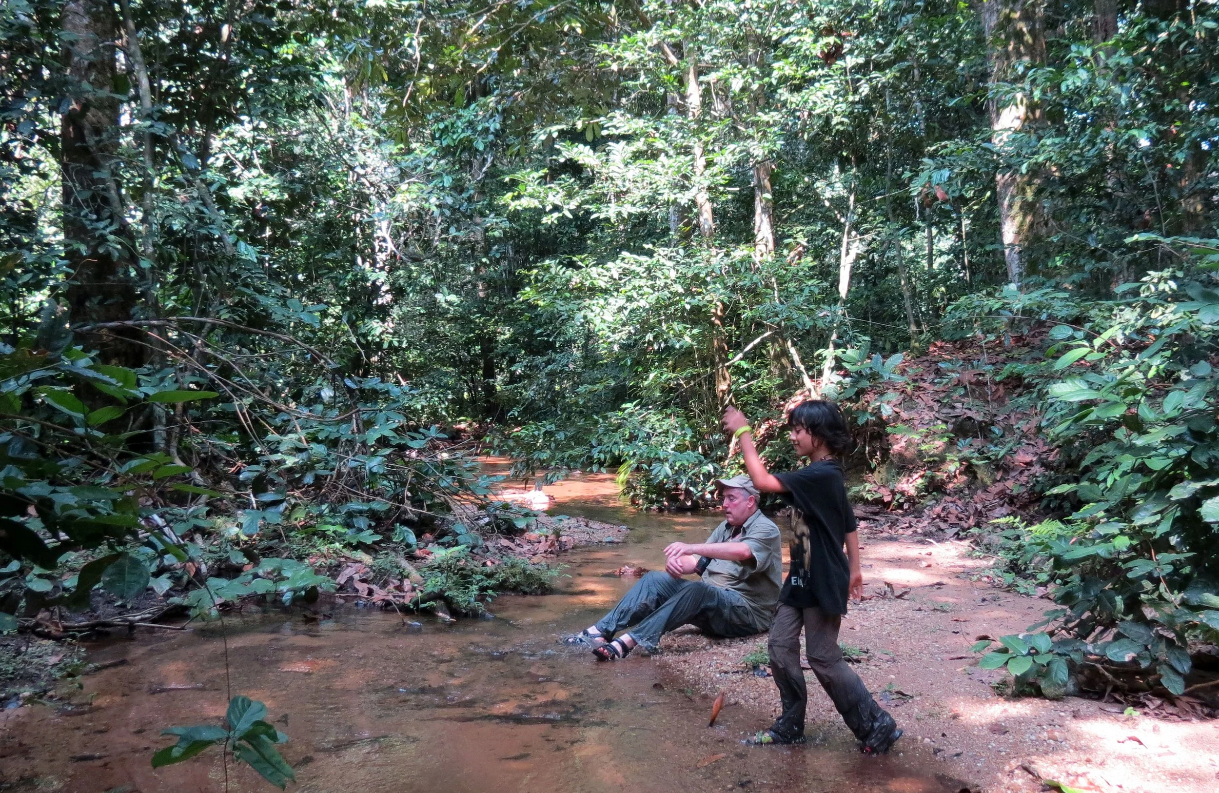 DZANGA NDOKI NATIONAL PARK  - CENTRAL AFRICAN REPUBLIC (31).JPG