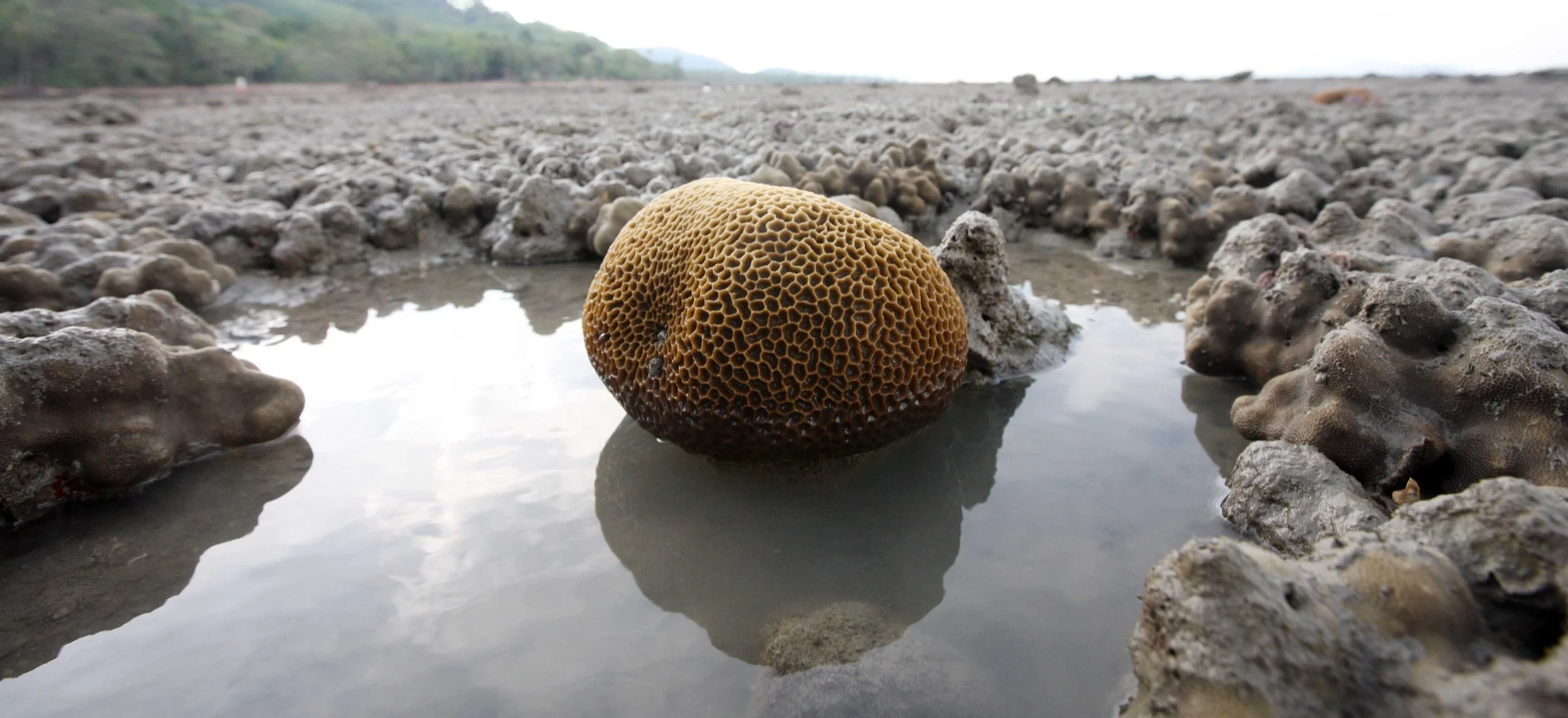 2015 Koh Lanta Songkran with friends from ISB (246).JPG