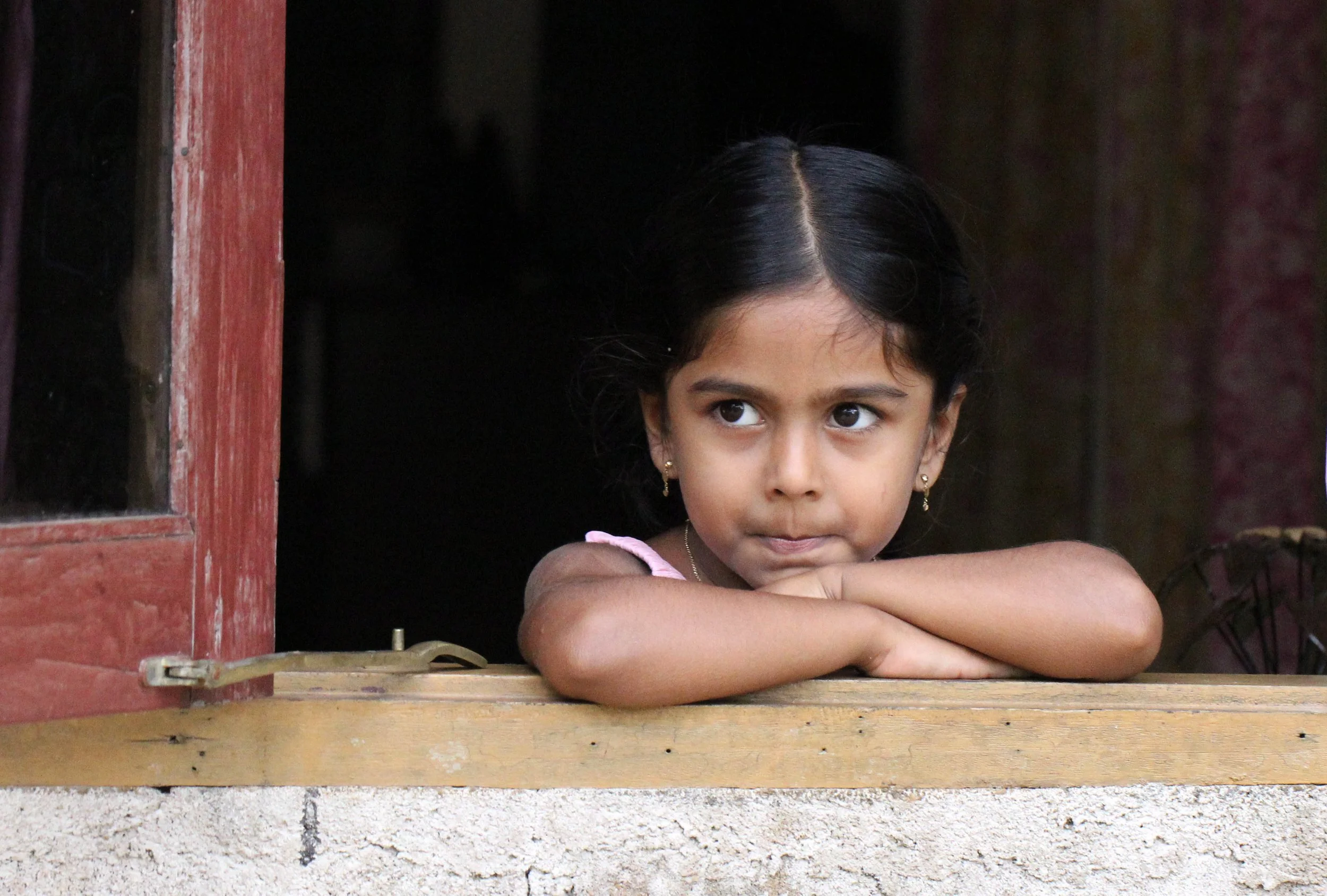 KITULGALA FOREST PRESERVE, SRI LANKA (97).JPG