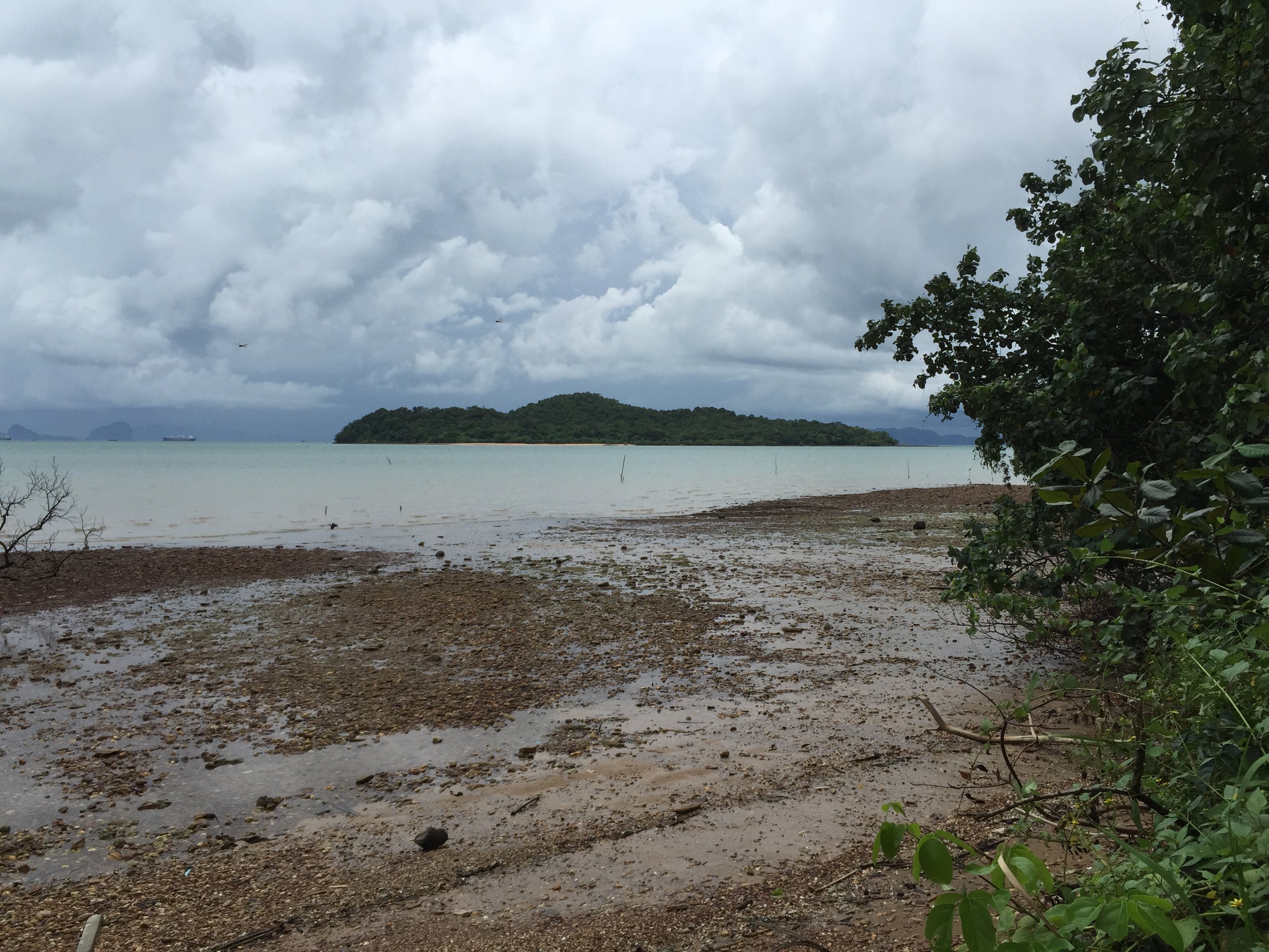 2015 Koh Lanta Garden & Nature (202).JPG