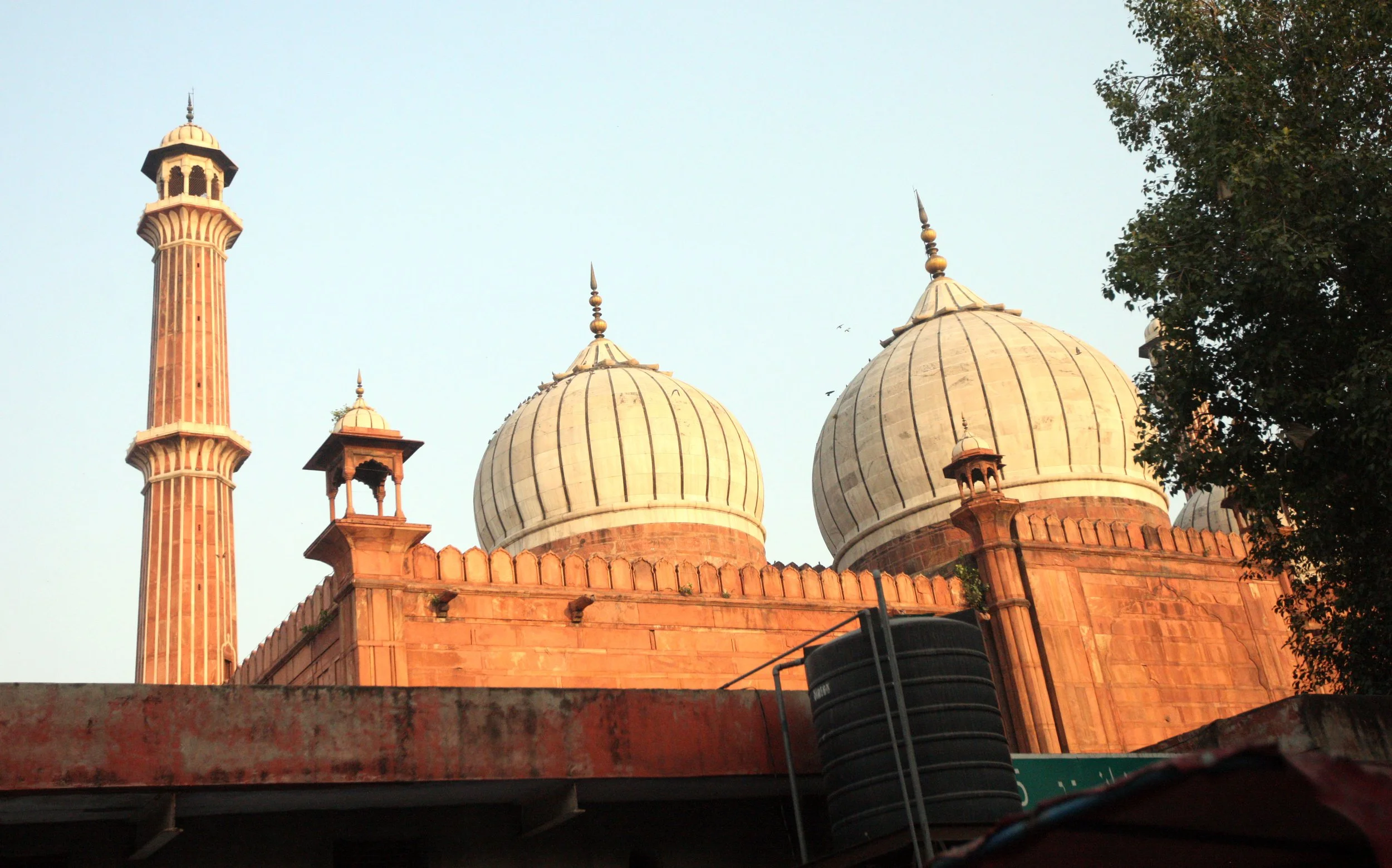 OLD DELHI INDIA - SNOW LEOPARD TRIP 2014 (70).JPG