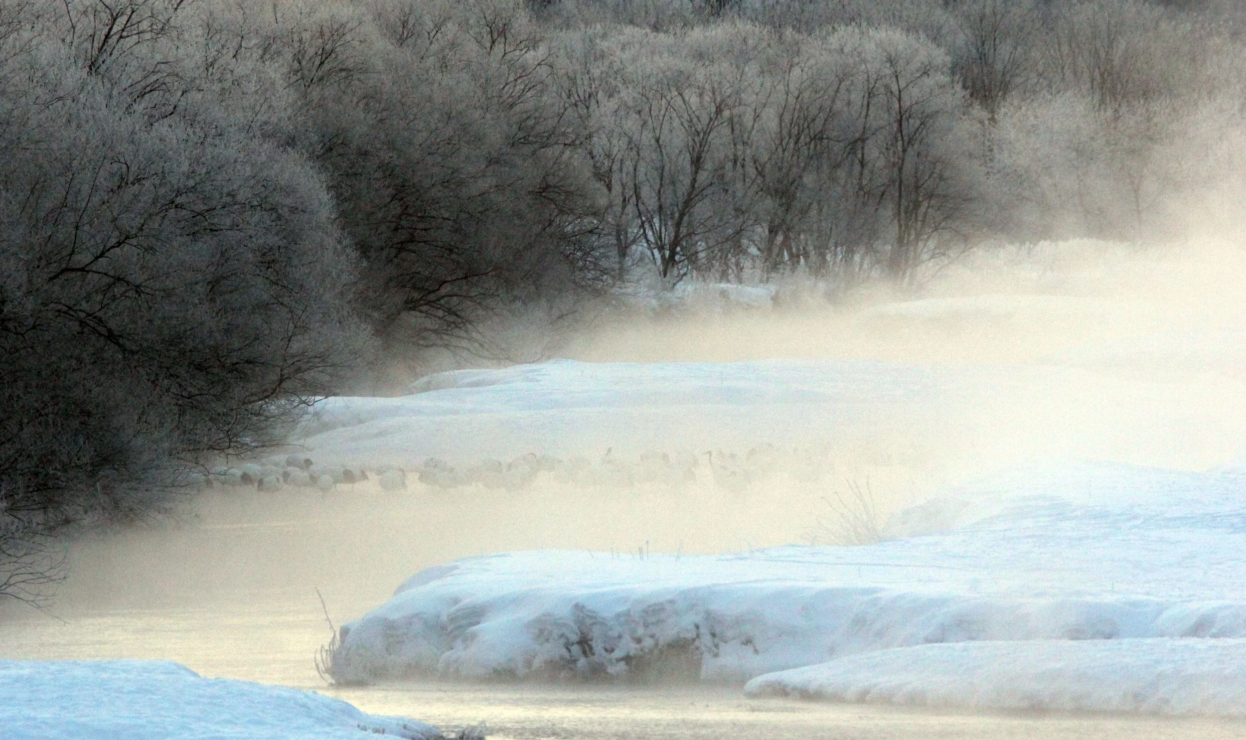 OTOWABASHI SETSUGAWA - TSURUI TOWN - HOKKAIDO JAPAN (4).JPG
