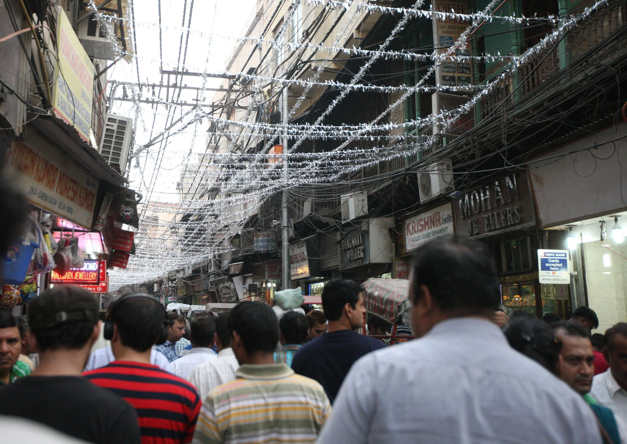OLD DELHI INDIA - SNOW LEOPARD TRIP 2014 (63).JPG