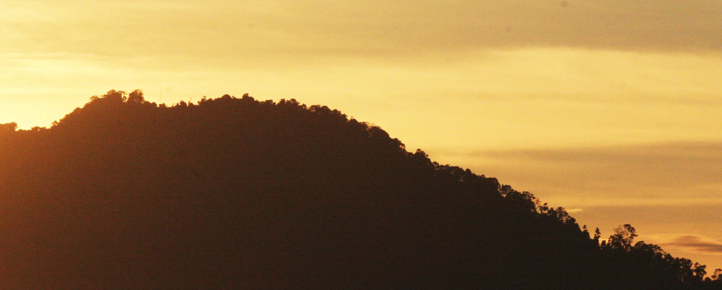 DANUM VALLEY BORNEO - SUNRISE OVER THE DANUM (71).JPG
