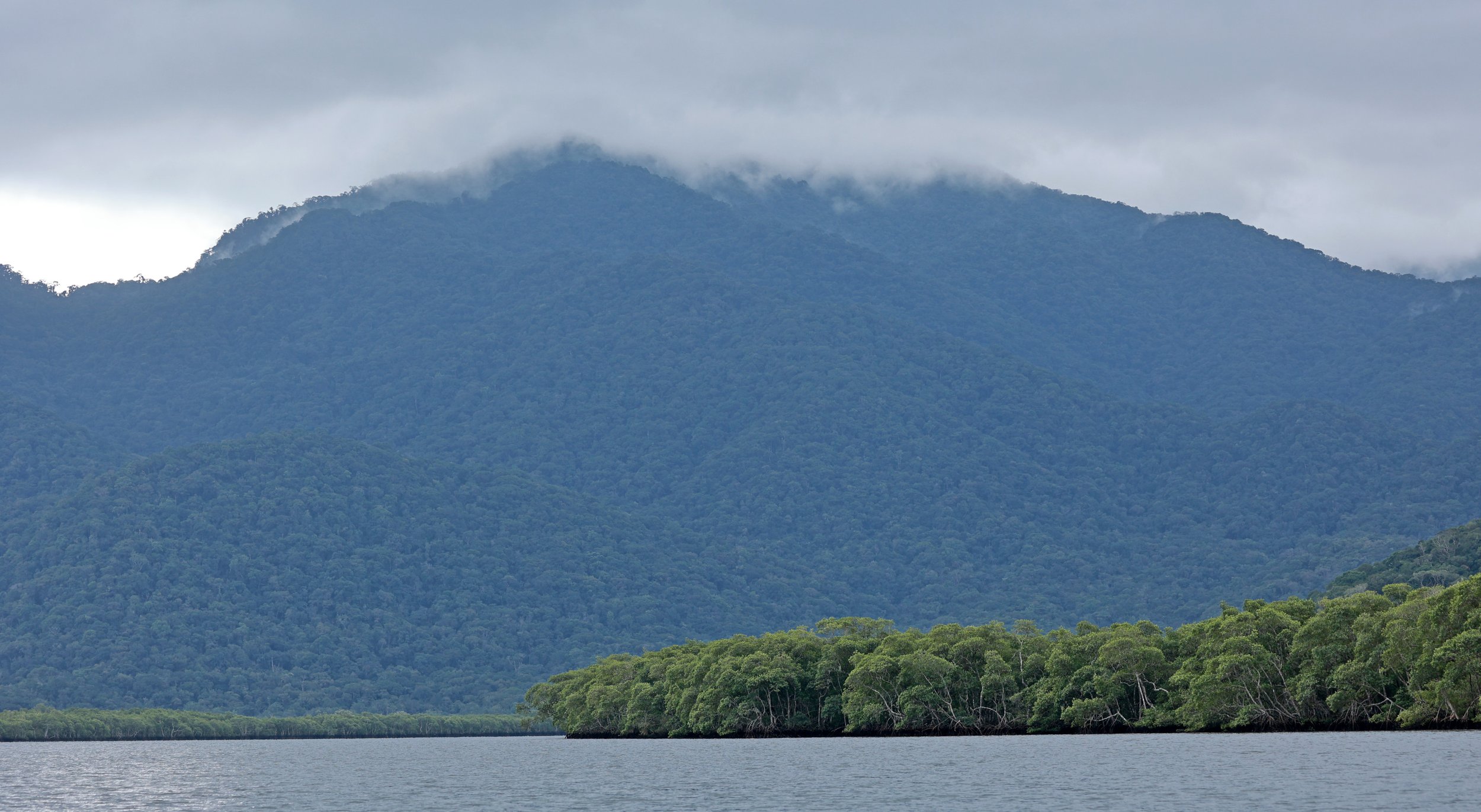 Superagüi National Park