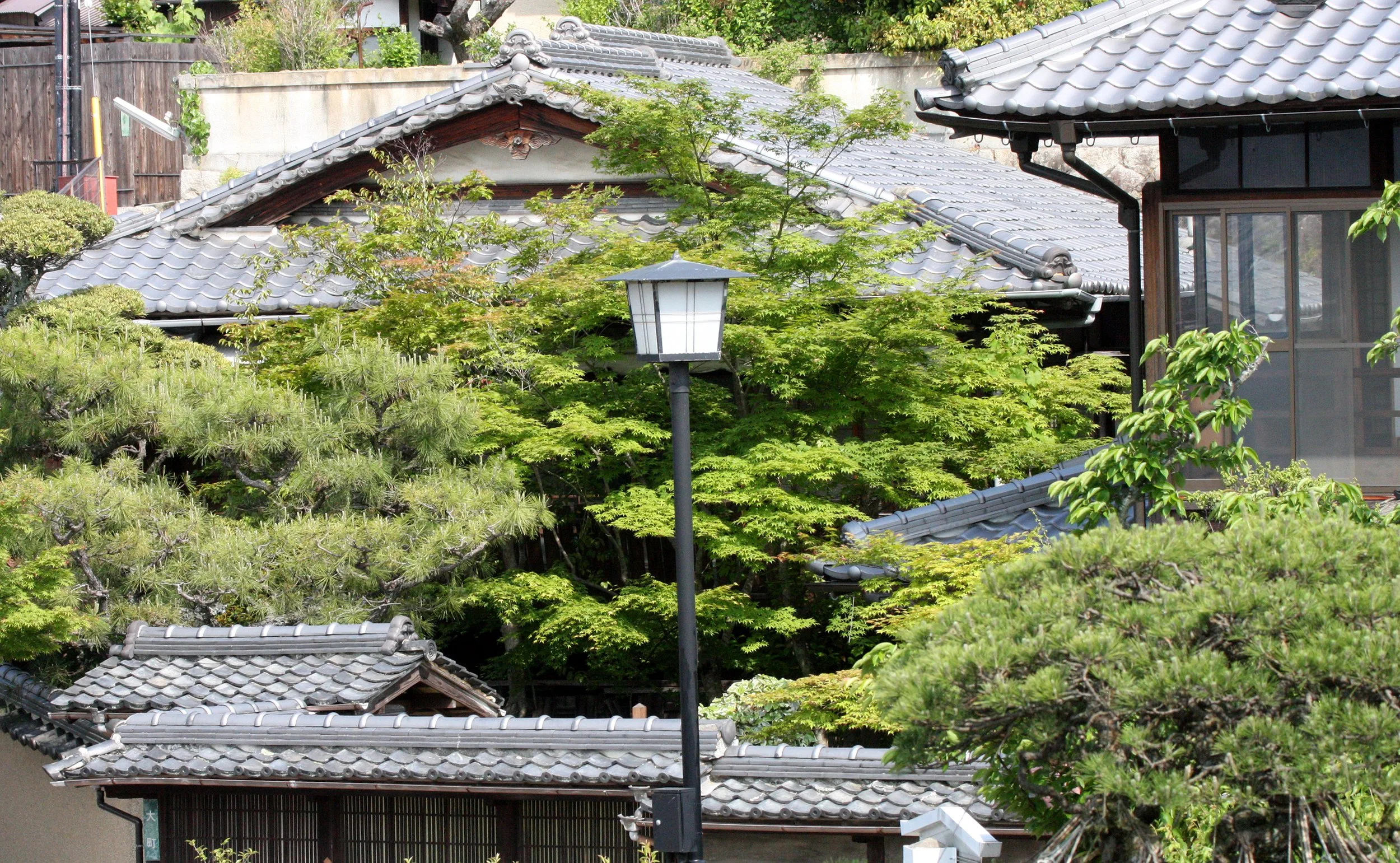 MIYAJIMA - MAY 2009 - SCENES AND LANDSCAPES (85).JPG