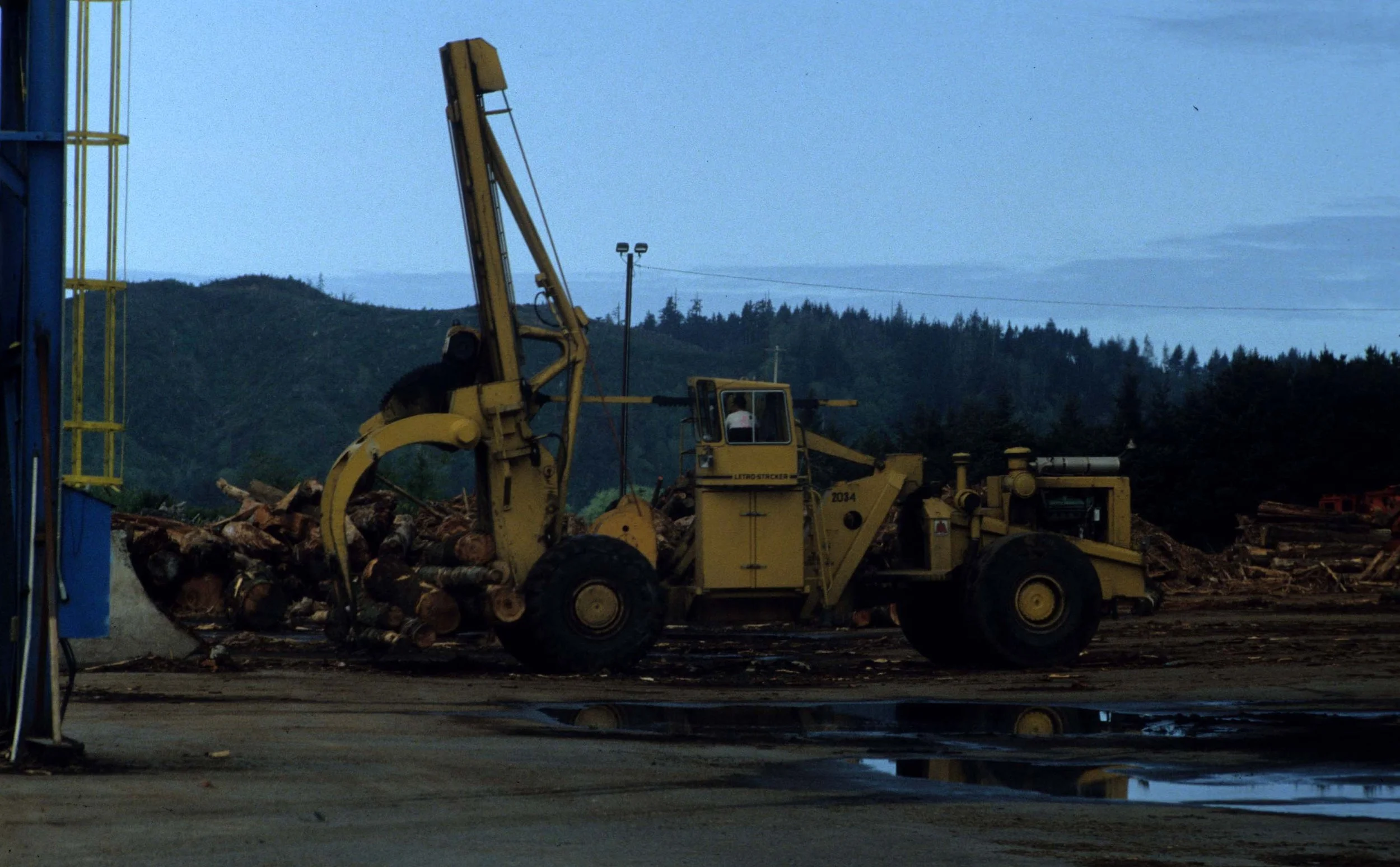 CALIFORNIA - REDWOODS NP - LOGGING OPERATIONS (2).jpg