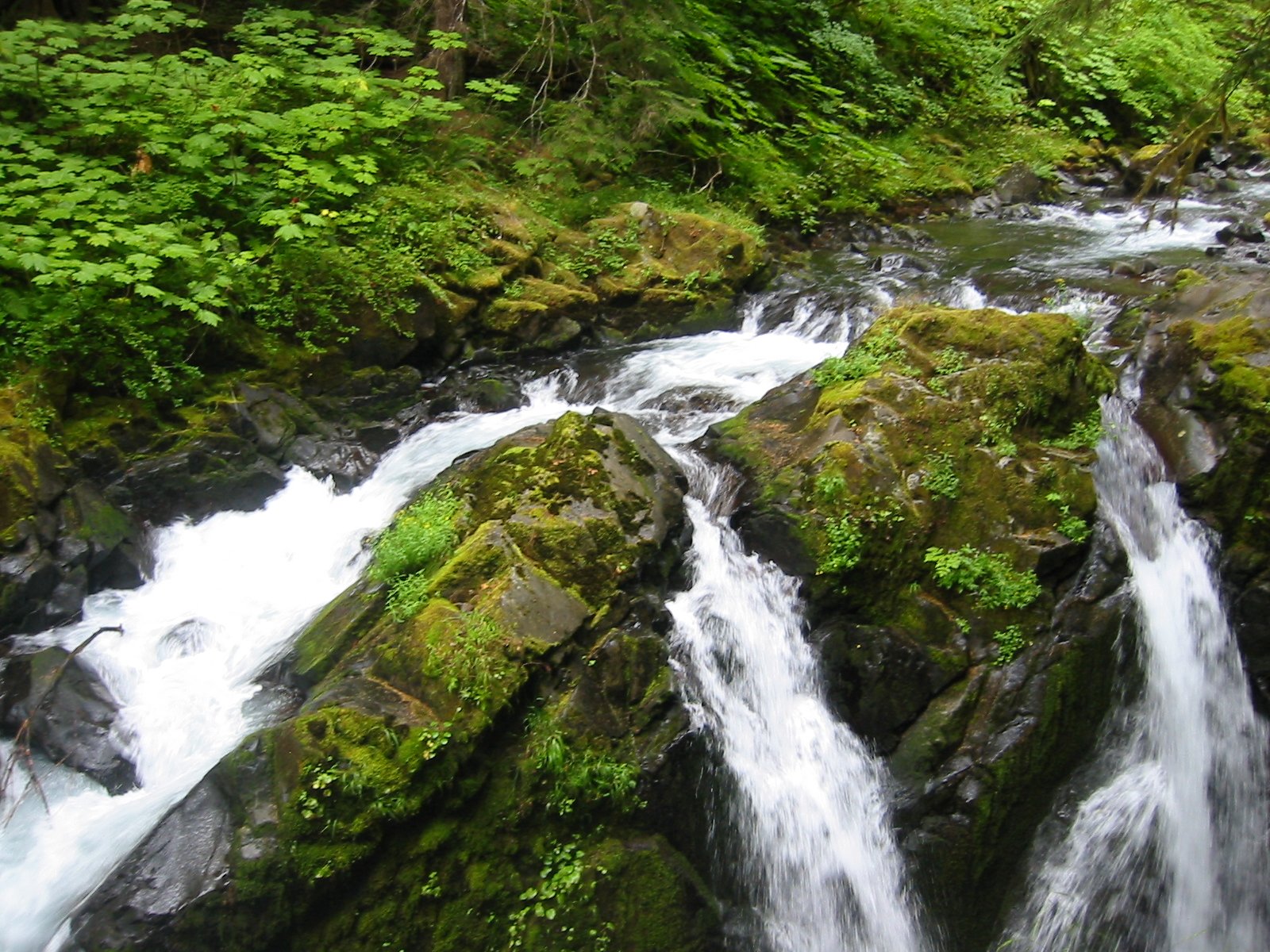 2003-8-3 WASHINGTON VISIT WITH THE ROBINSONS (86).JPG