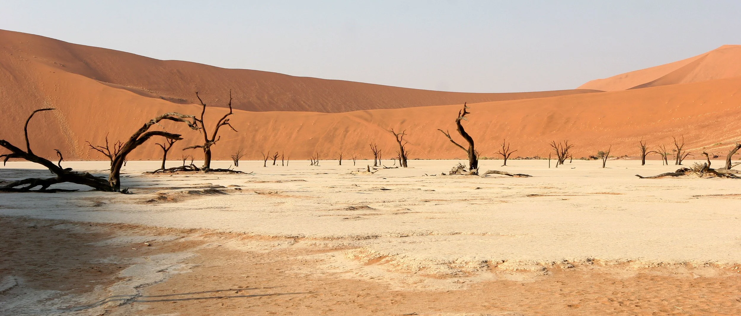 NAMIBIA - SOSSUSVLEI - DEAD VLEI - NAMIBIA (6).JPG