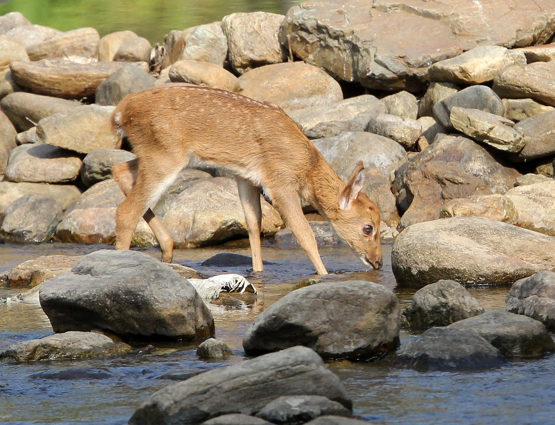 Rivers and stream cut through the granitic regions of the Tenasserim Mountains leaving exposed boulders