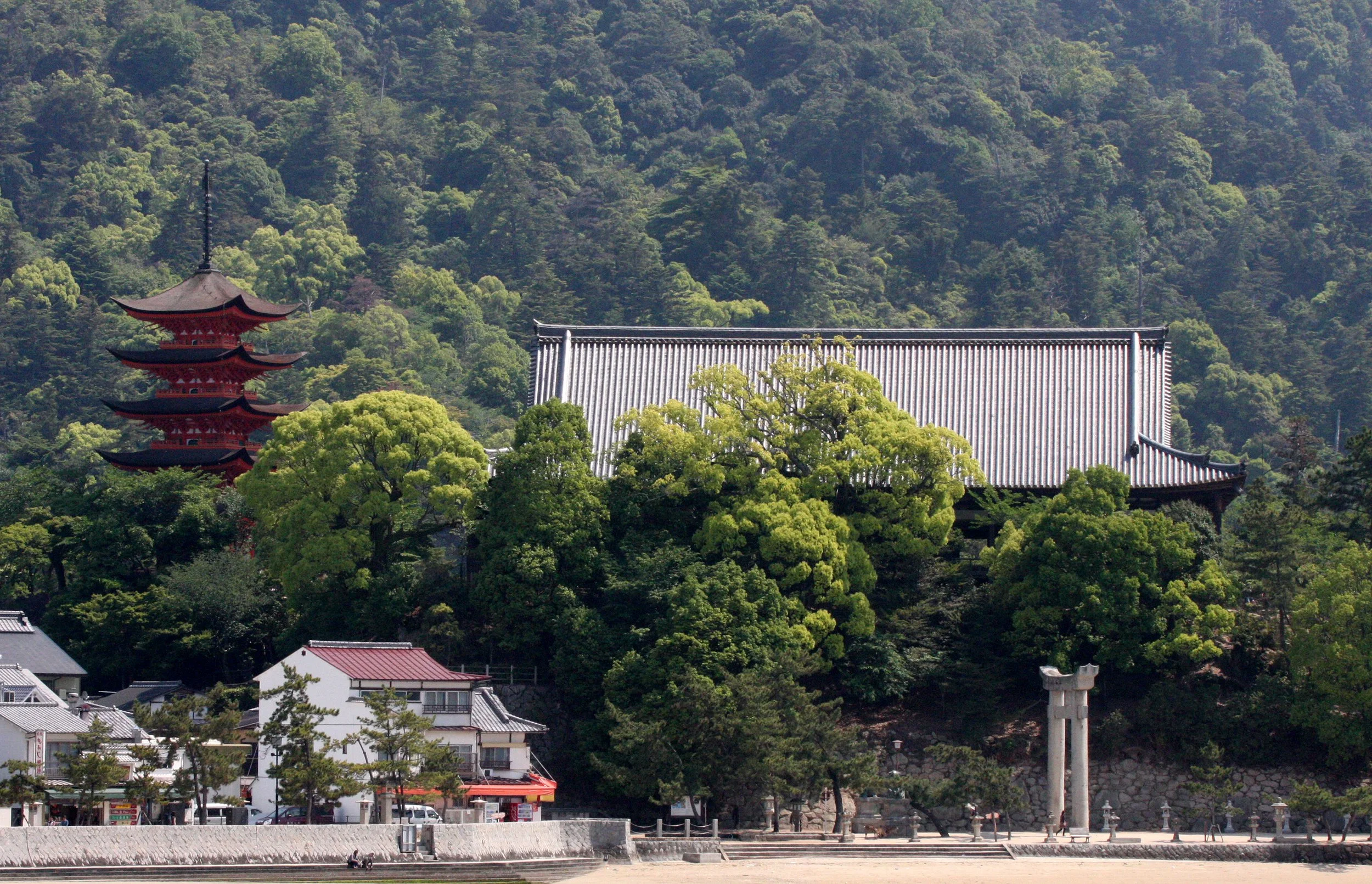 MIYAJIMA - MAY 2009 - SCENES AND LANDSCAPES (52).JPG