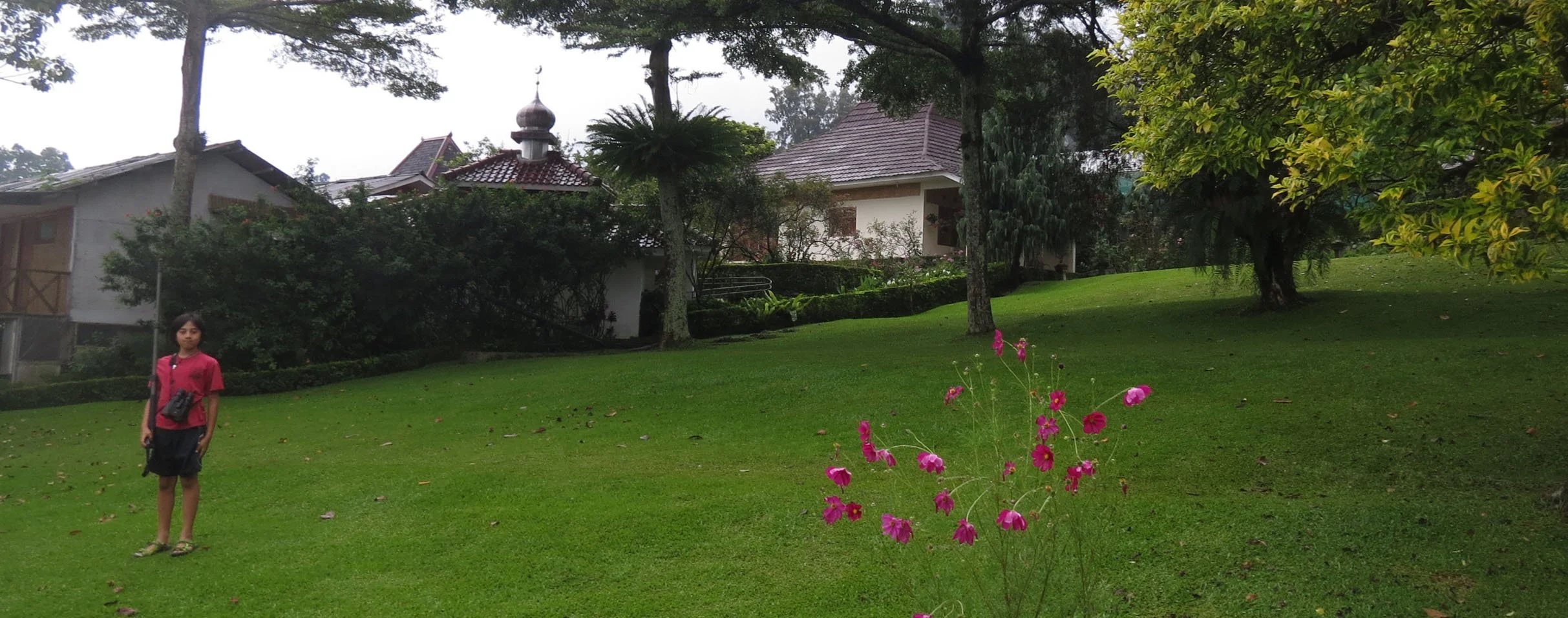 GEDE NATIONAL PARK - JAVA BARAT INDONESIA (44).JPG