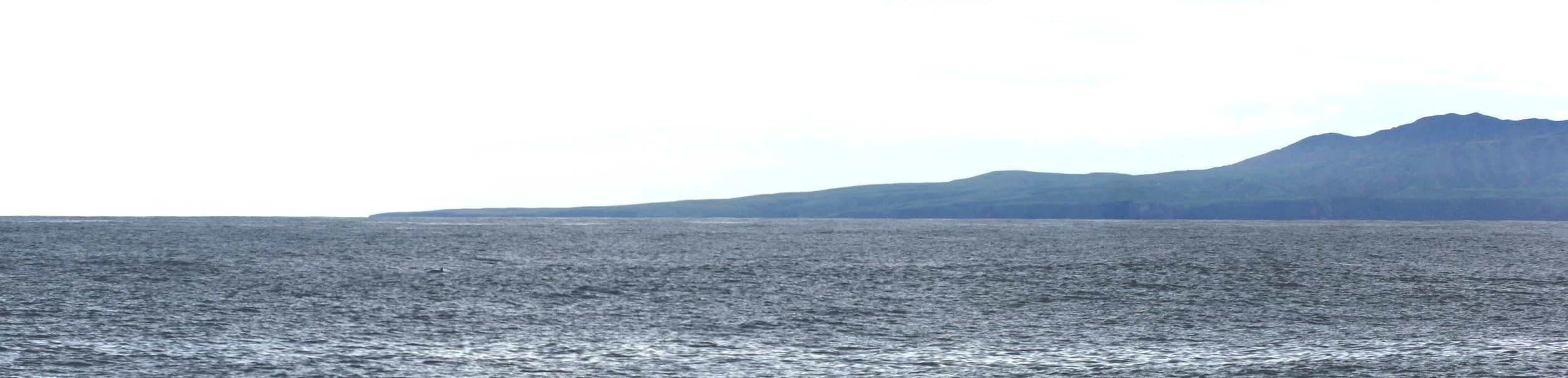 CALIFORNIA - CHANNEL ISLANDS NP - SANT CRUZ ISLAND (5).jpg