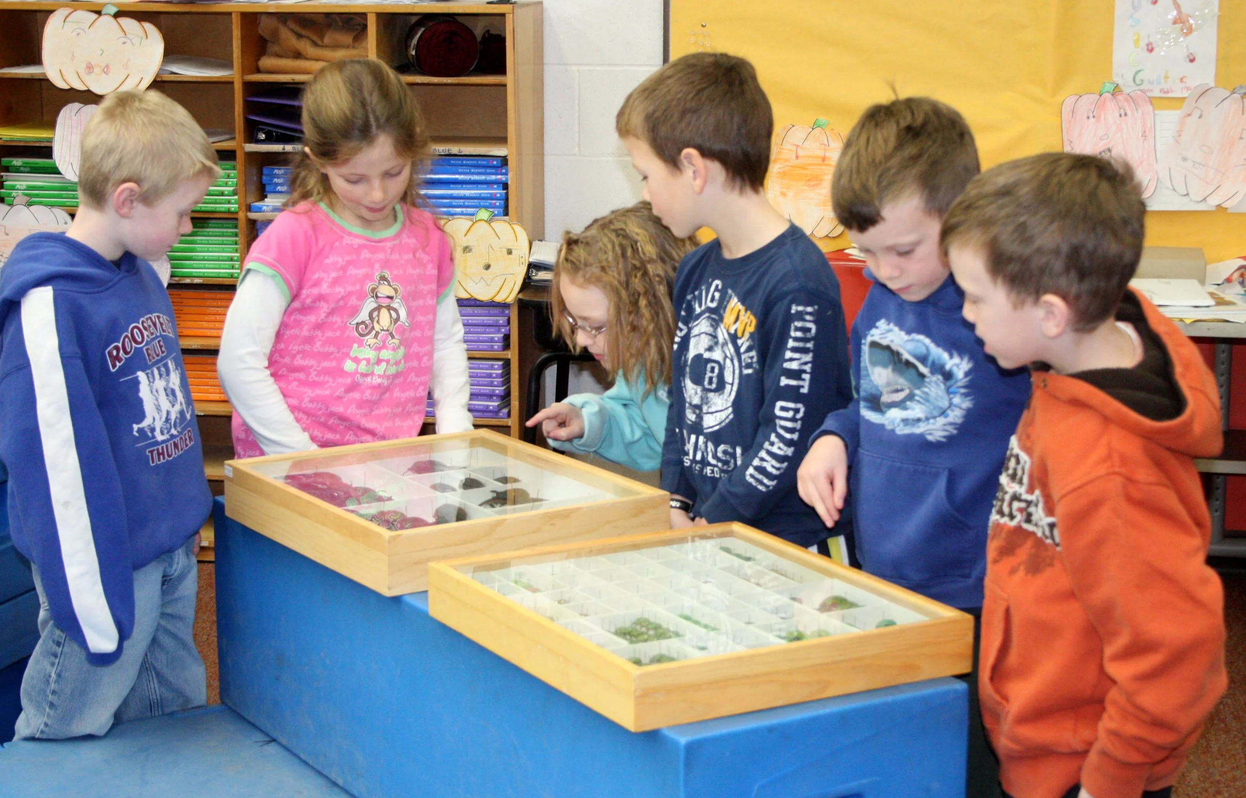 2008-11-21 BUG DAY IN COKIES CLASS (23).JPG