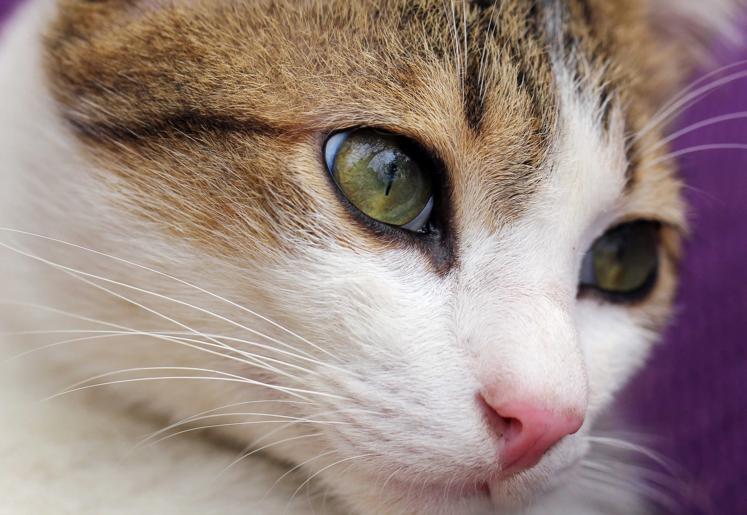 2015 Koh Lanta Songkran with friends from ISB (373).JPG