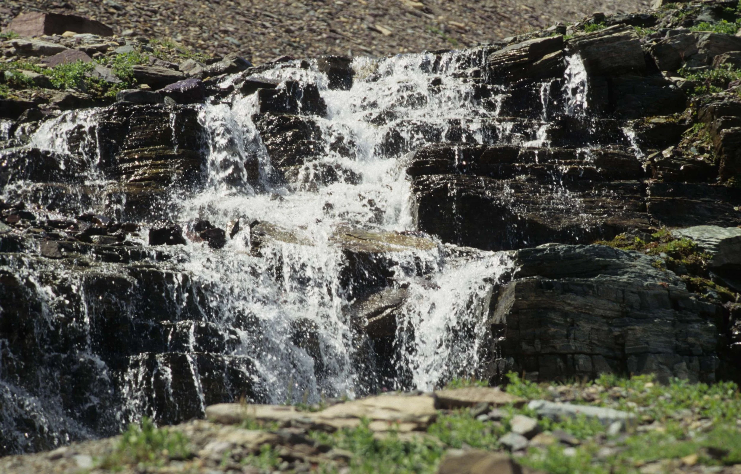 MONTANA - GLACIER - GLACIER NATIONAL PARK VIEWS (13).jpg