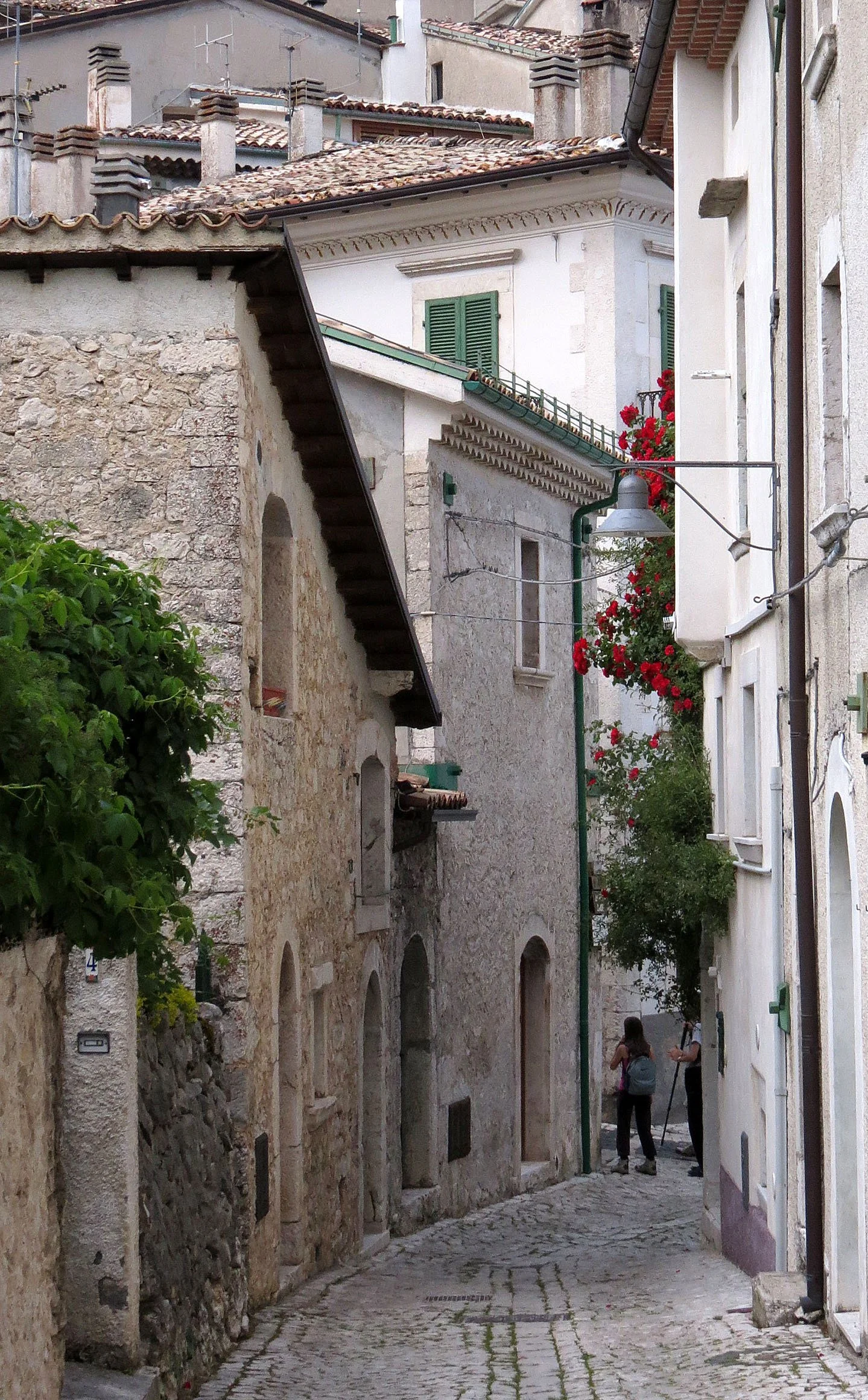 ABRUZZO NATIONAL PARK ITALY (58).JPG