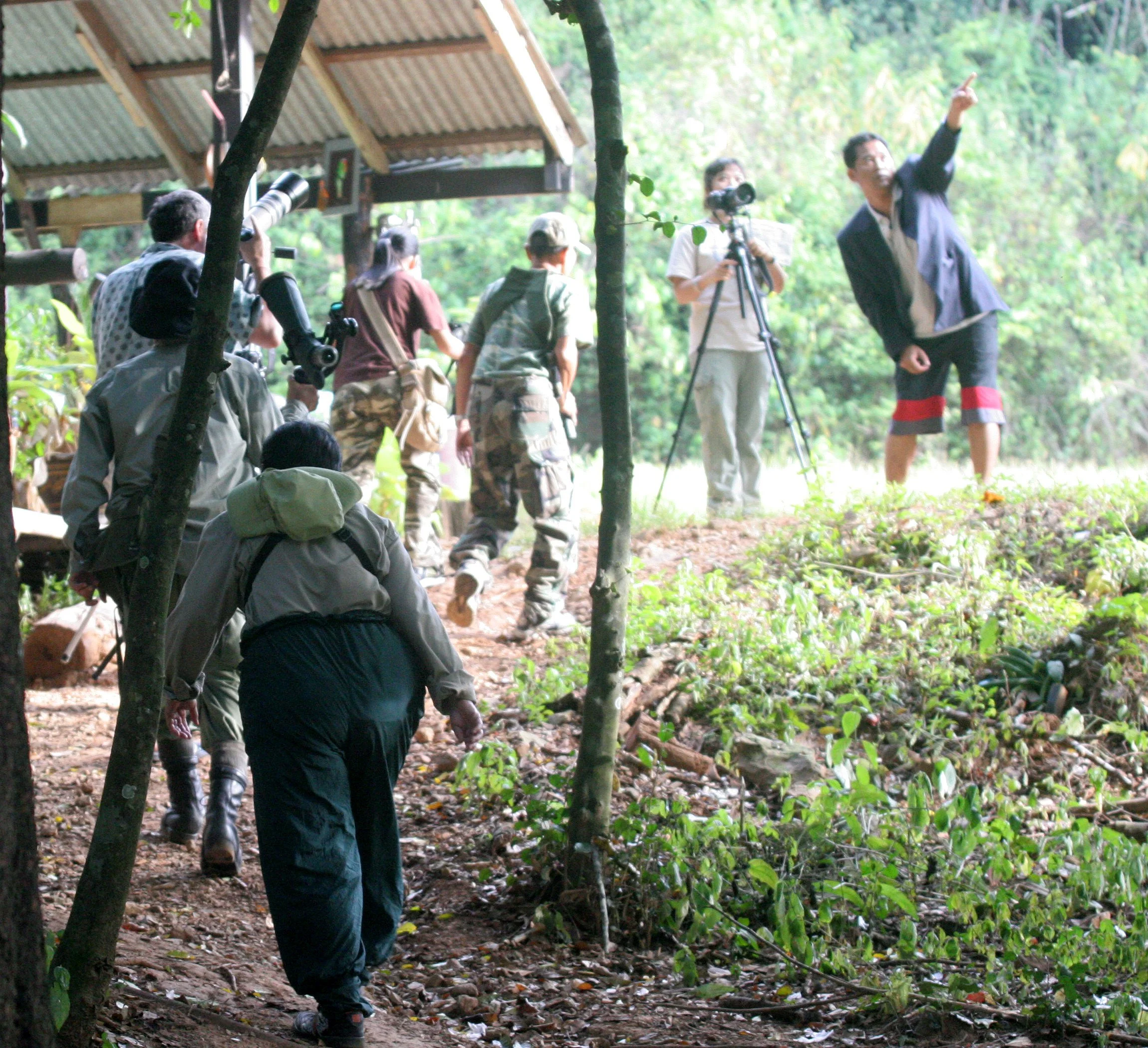2008 Kaeng Krachan NP Trip with Cokie & Som (42).JPG