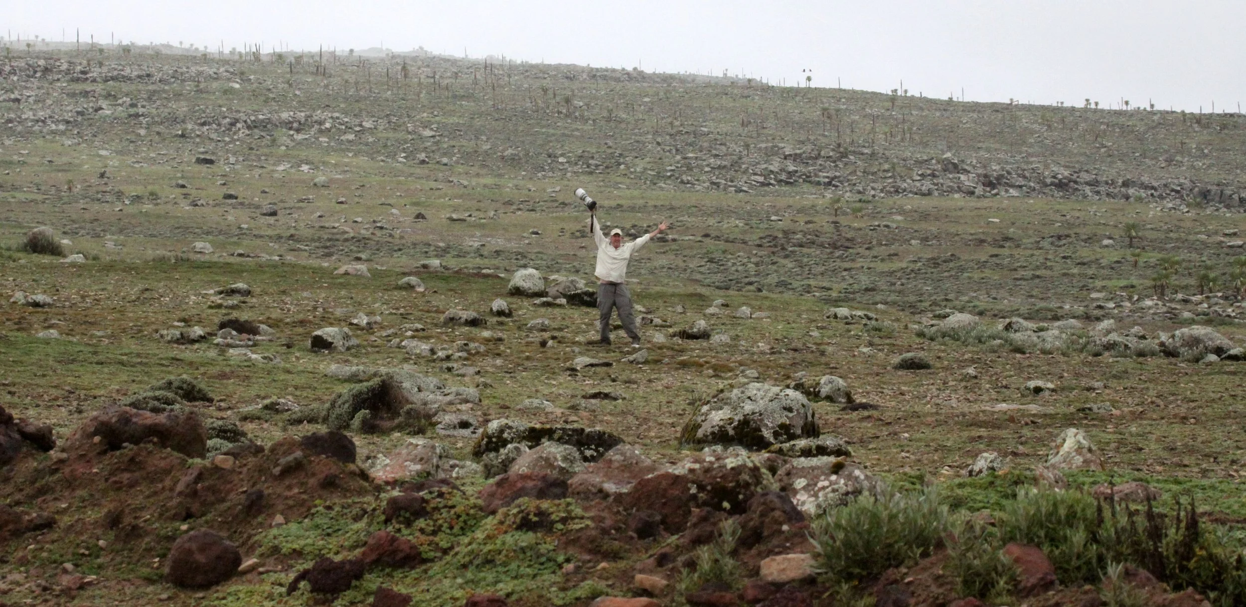 BALE MOUNTAINS NATIONAL PARK ETHIOPIA (53).JPG