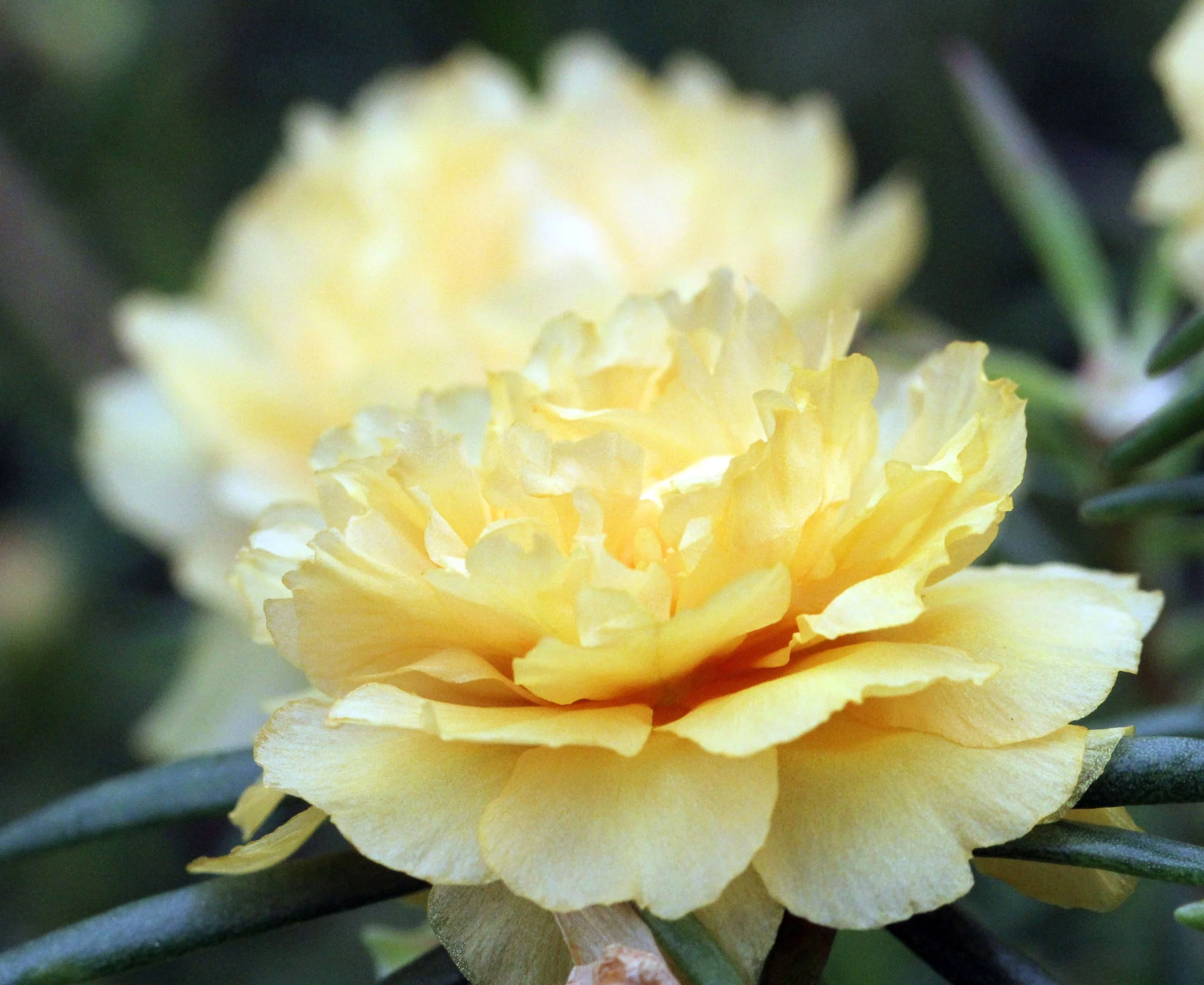 2013 Cha'am and Petchaburi with Family & Friends (41).JPG