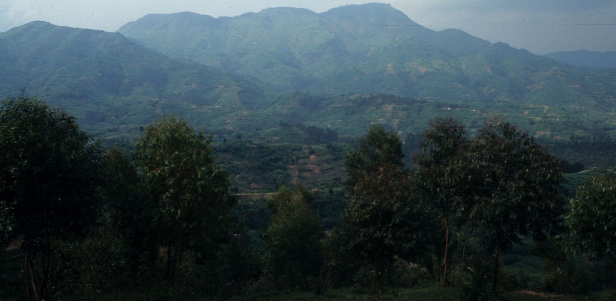 UGANDA - COUNTRYSIDE E.jpg