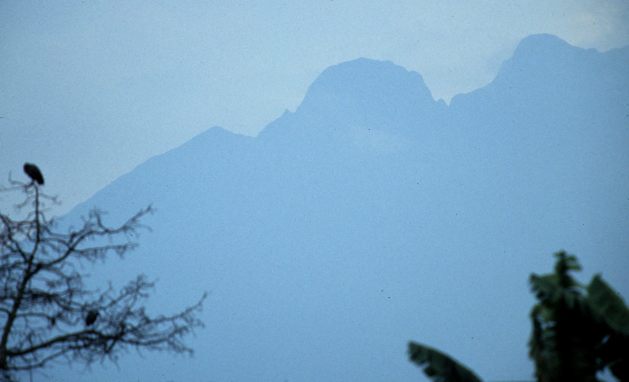 RWANDA - VISOKE.jpg