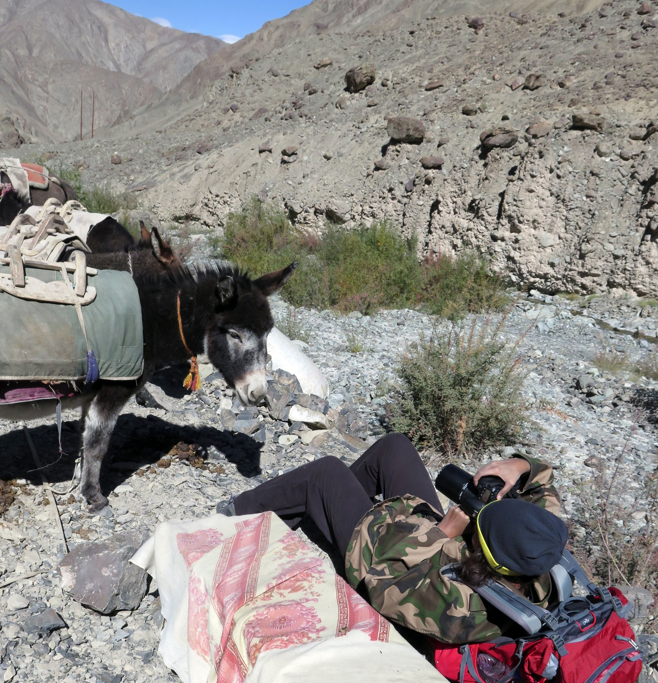 HEMIS NATIONAL PARK - LADAKH INDIA - JAMMU & KASHMIR NEAR RUMBAK VILLAGE (508).JPG