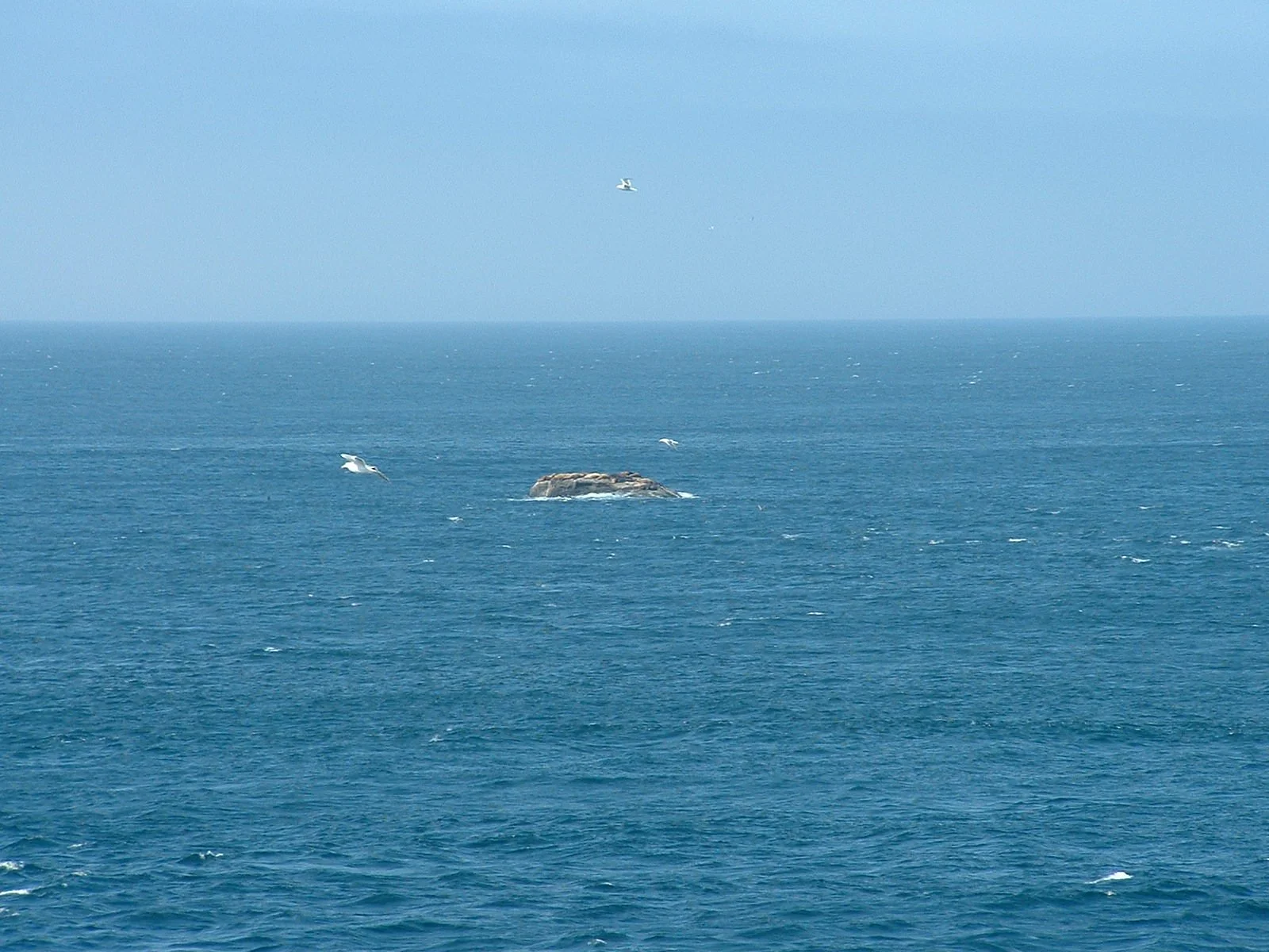 2003-8-1 WASHINGTON VISIT FROM ROBINSONS ET AL (82).JPG