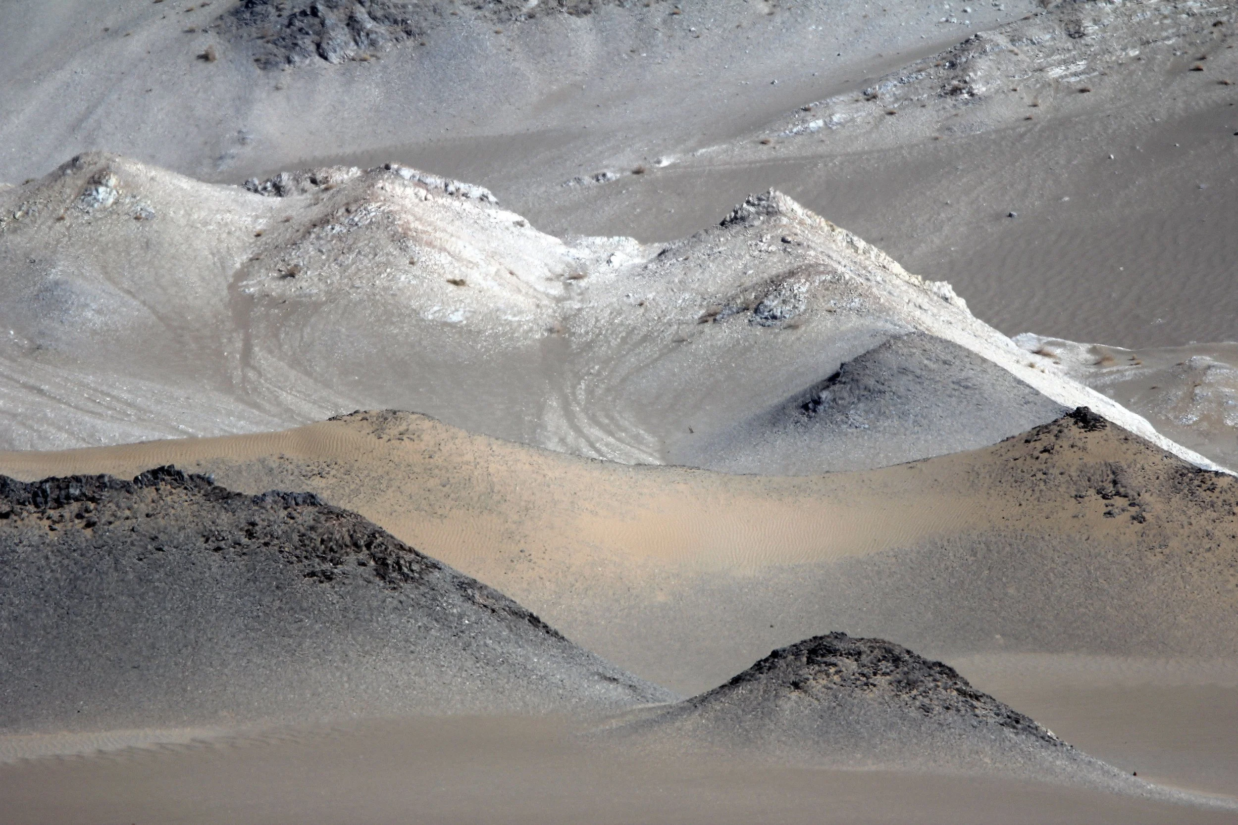 LOP NUR WILD BACTRIAN CAMEL RESERVE - XINJIANG CHINA (144).JPG