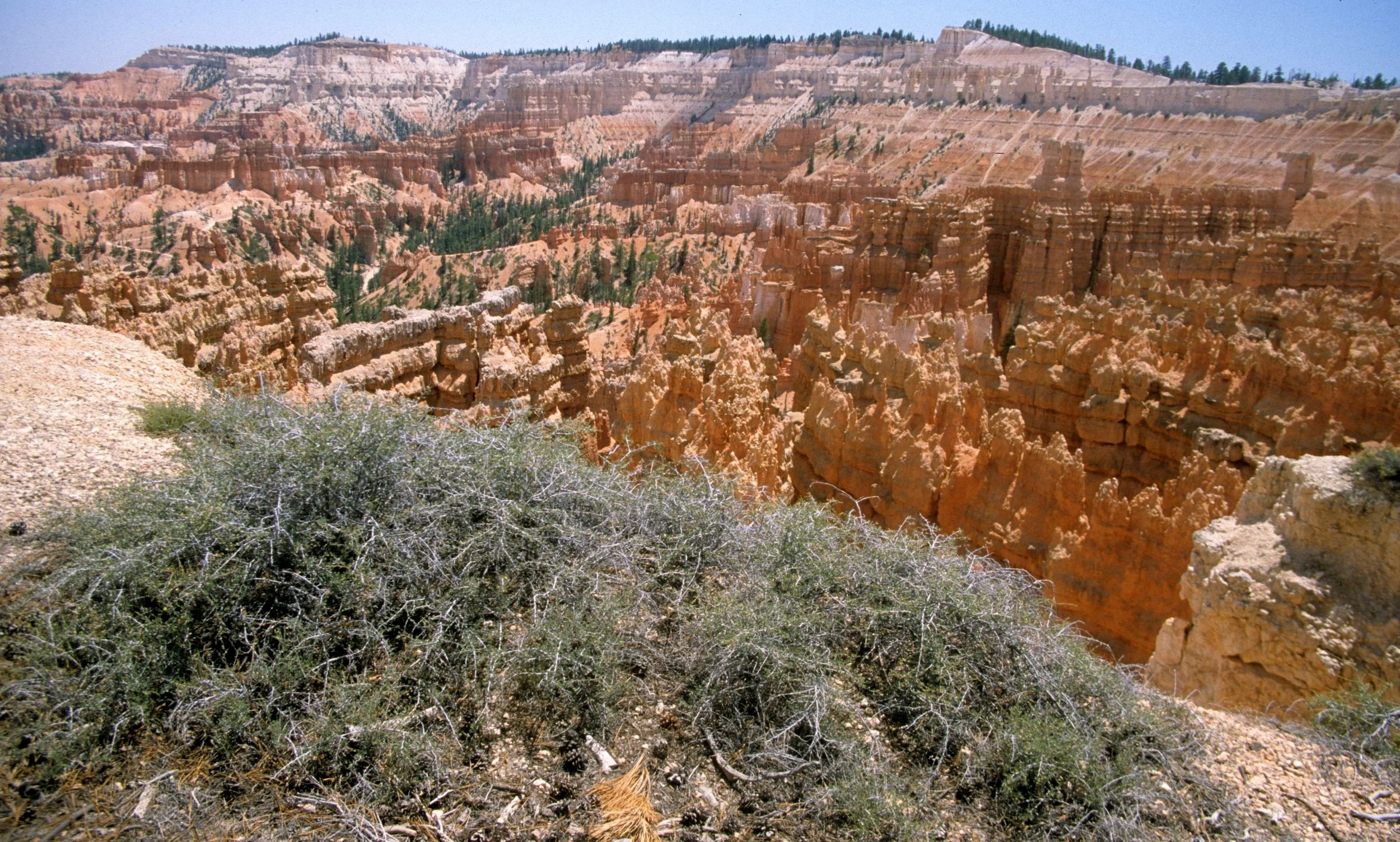UTAH - BRYCE CANYON M.jpg