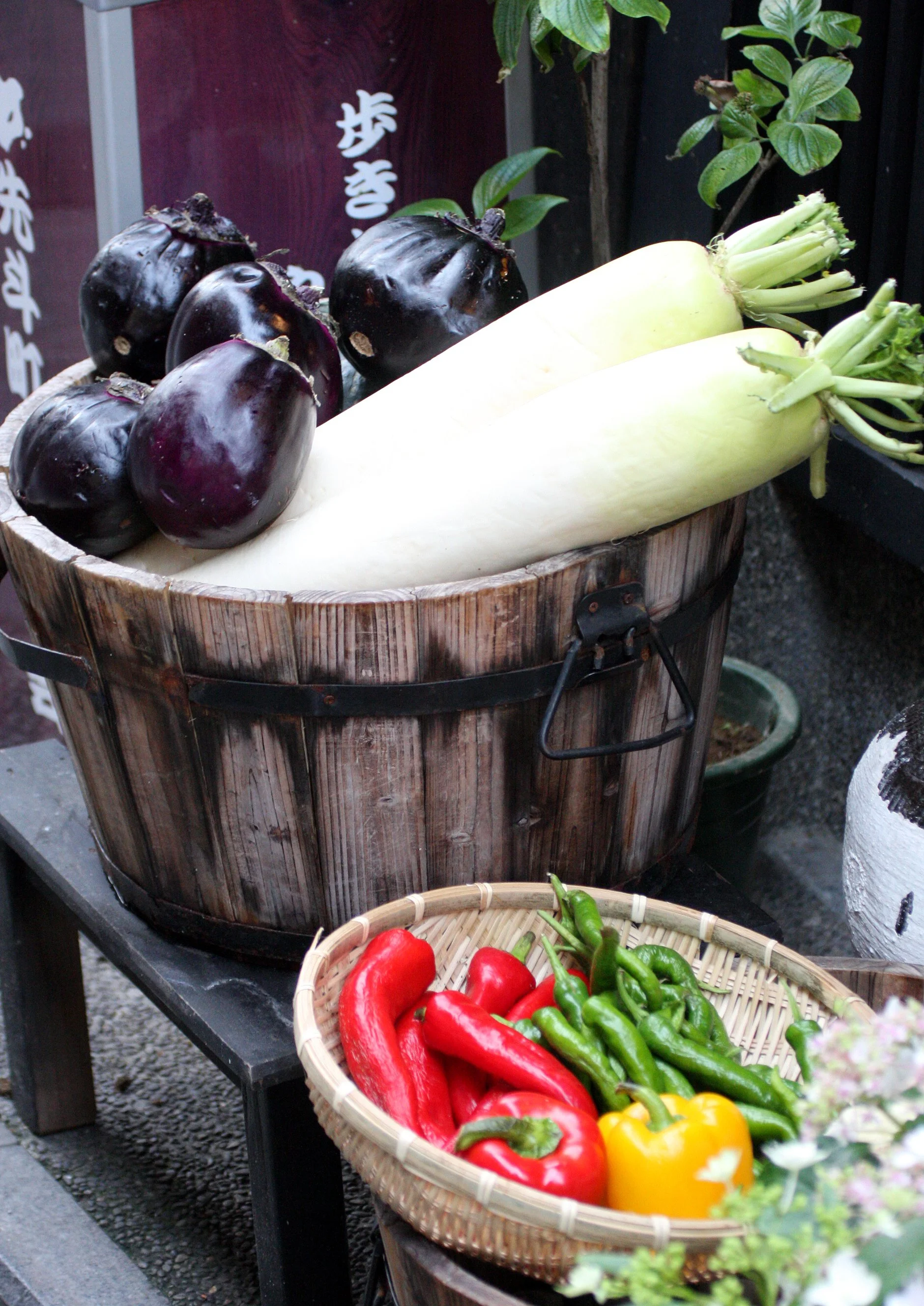 KYOTO - MAY 2009 - CITY SCENES AND LANDSCAPES (18).JPG