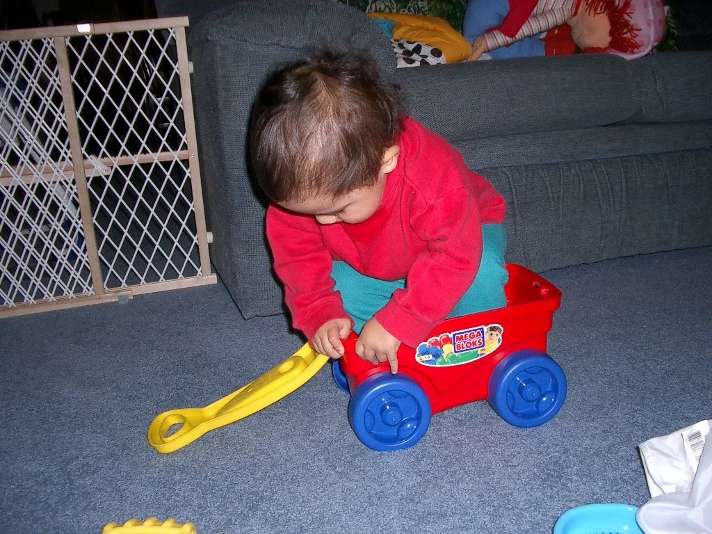 2003-11-16 COKIE PLAYING AT HOME (24).JPG