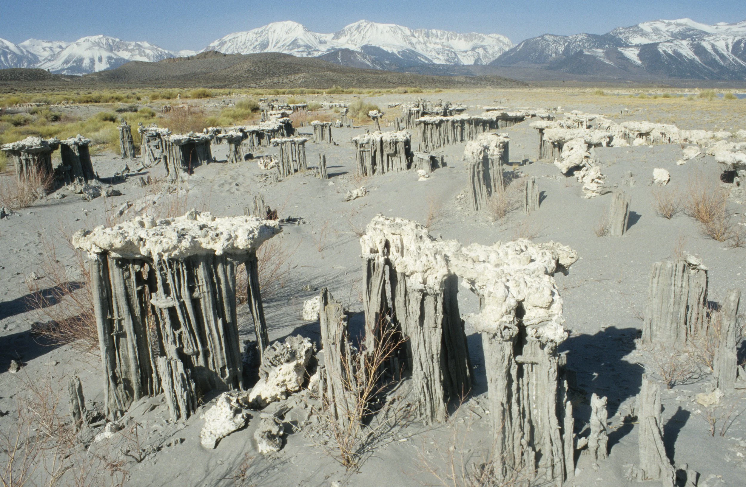 CALIFORNIA - MONO LAKE SAND TUFA.jpg