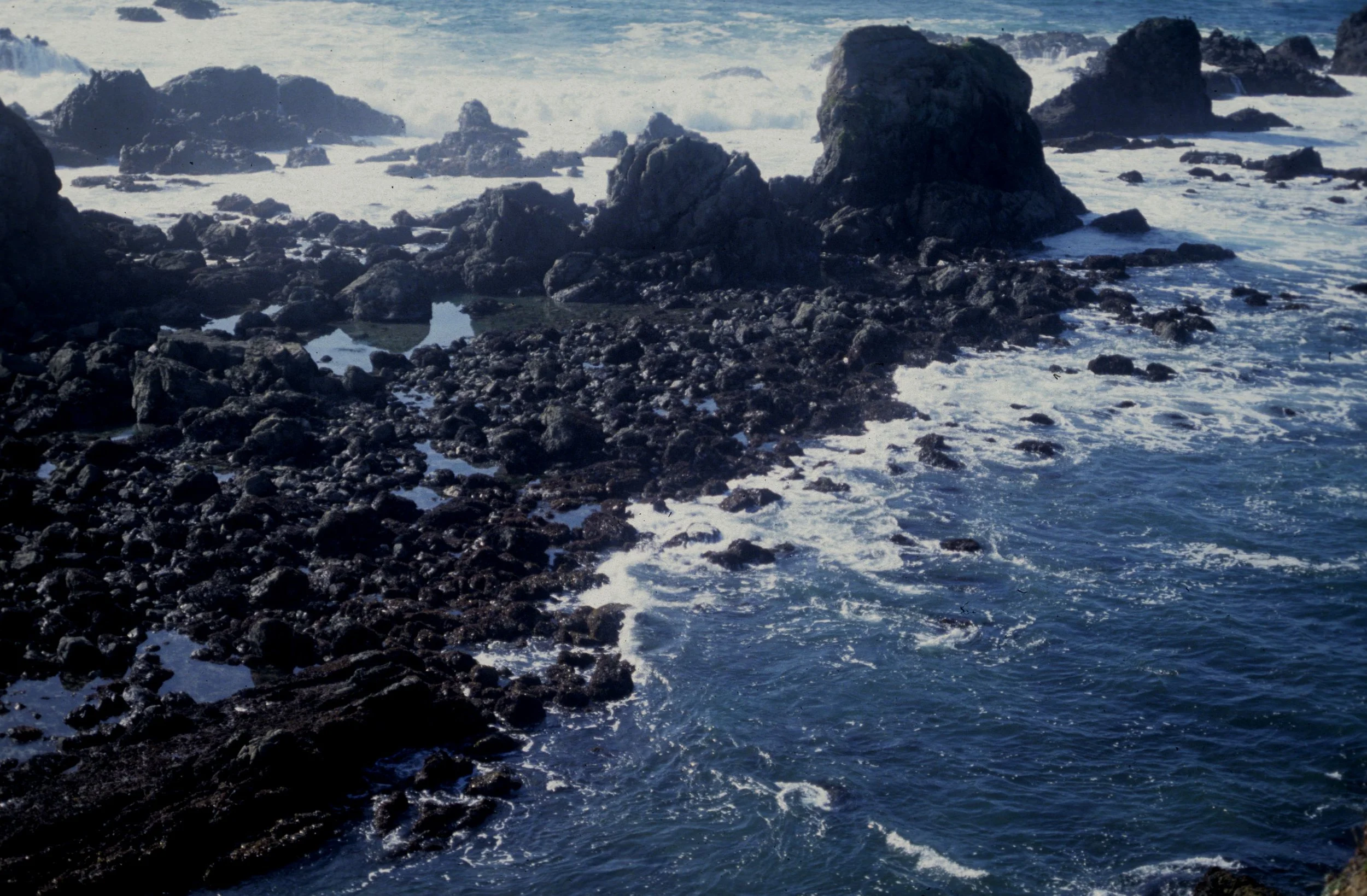 CALIFORNIA - POINT REYES - ROCKY COAST.jpg