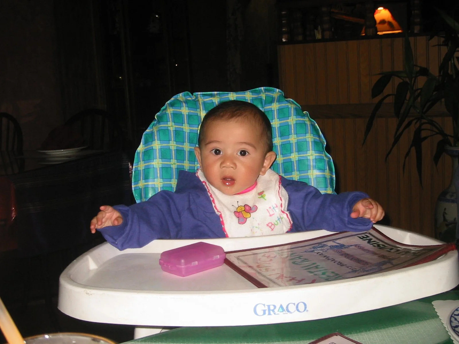 2003-4-2 SPRING TRIP TO SACRAMENTO (14).JPG