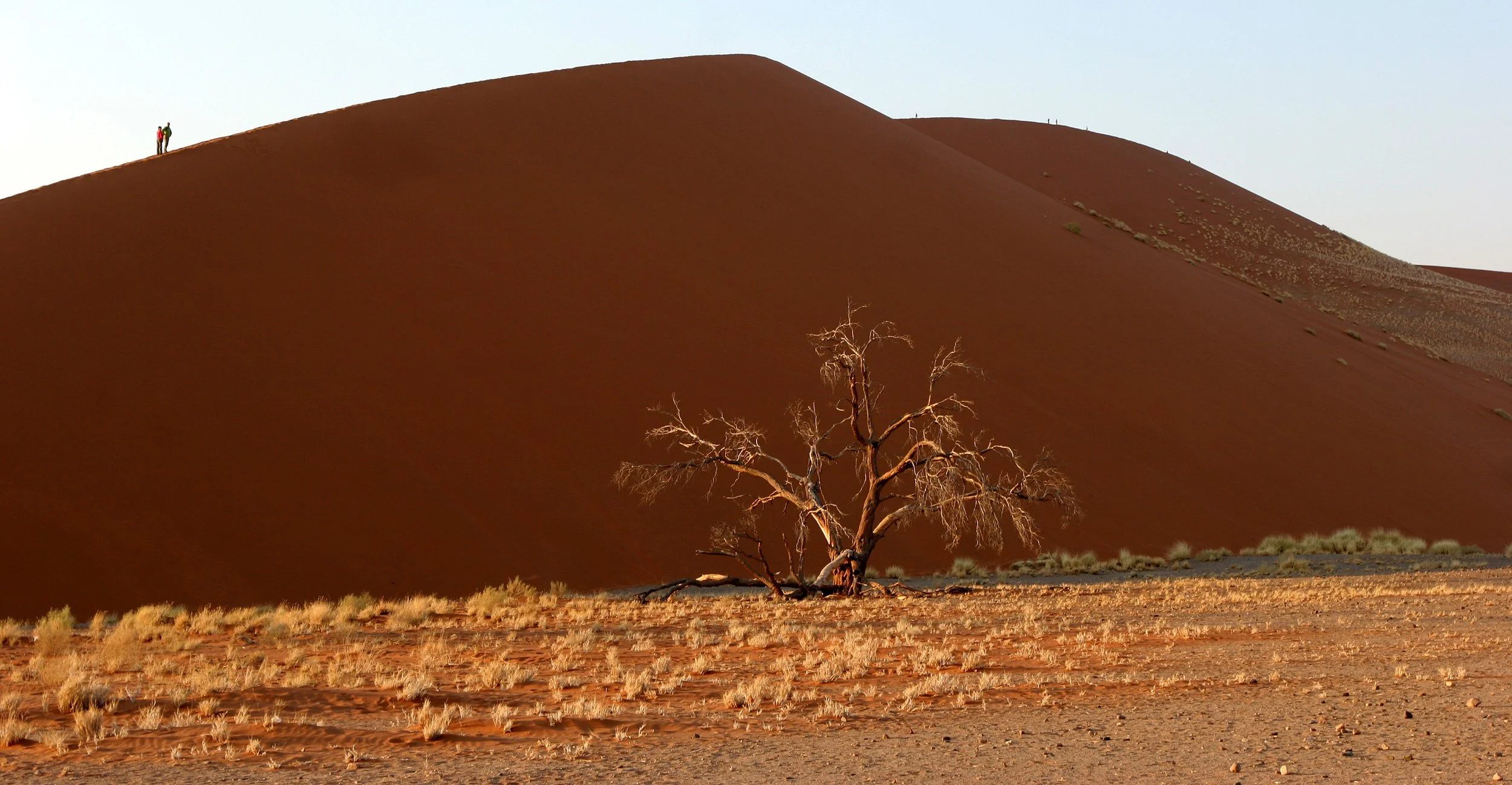NAMIBIA - SOSSUSVLEI - DUNES - NAMIBIA (28).JPG