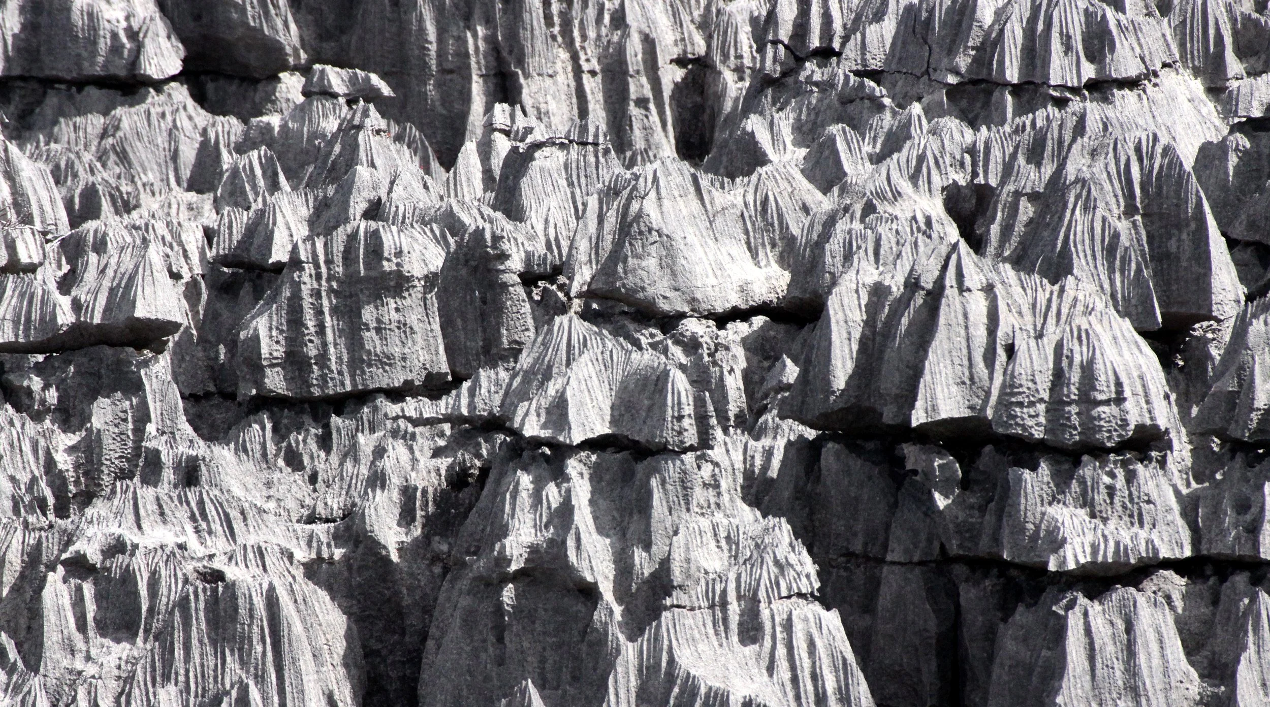 ANKARANA NATIONAL PARK MADAGASCAR - TSINGY FOREST (50).JPG