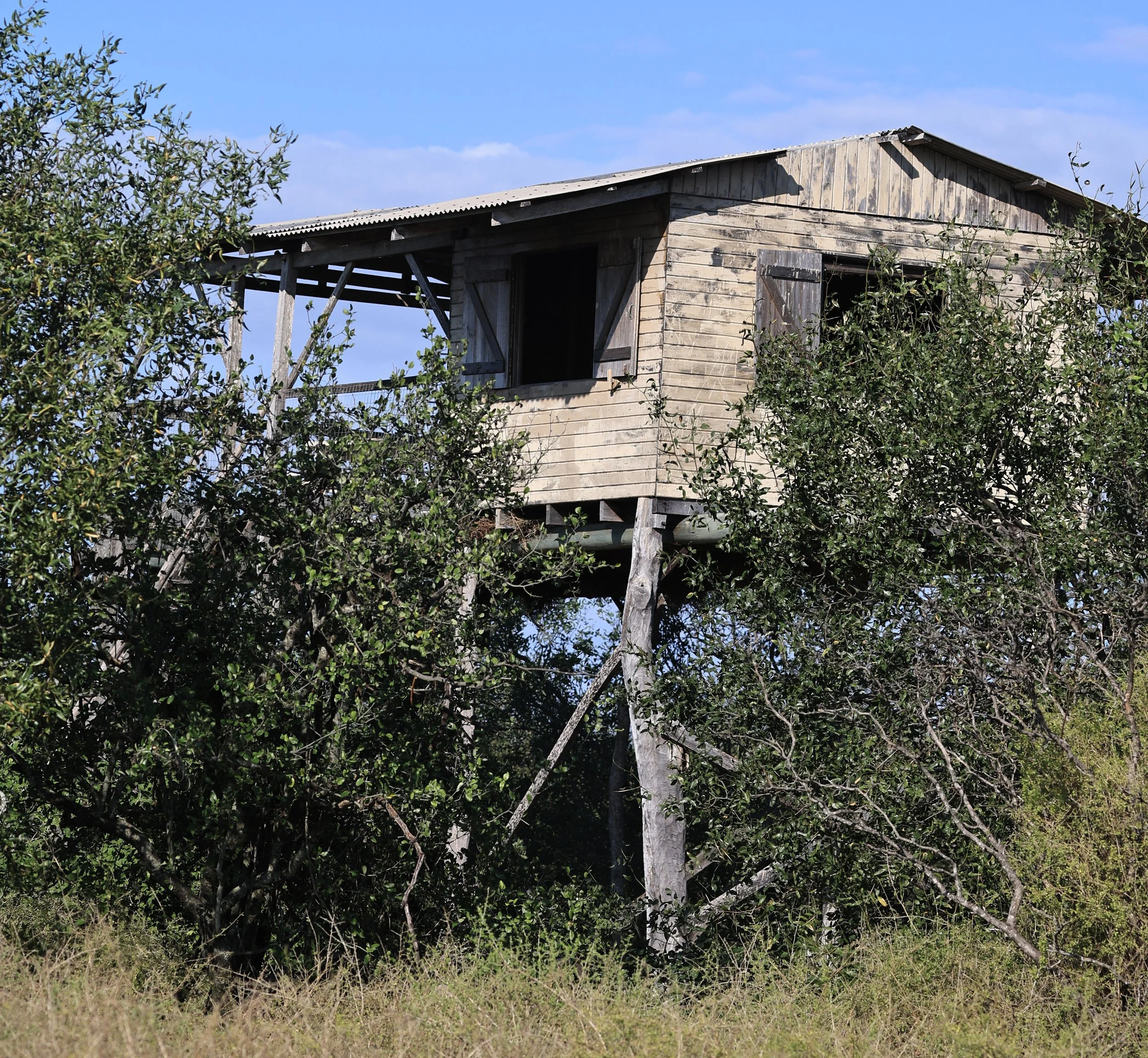 Chaco Lodge & Laguna Salada Paraguay (223).jpg
