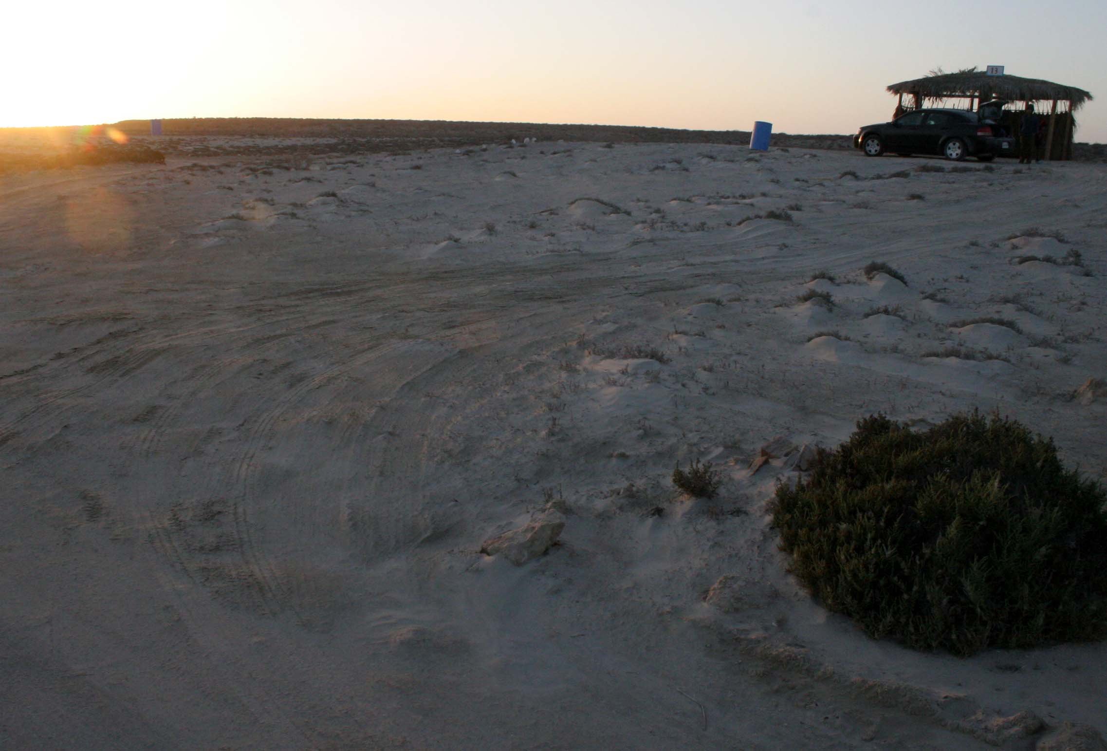 OJO DE LIEBRE LAGOON BAJA MEXICO - BASE CAMP (7).JPG