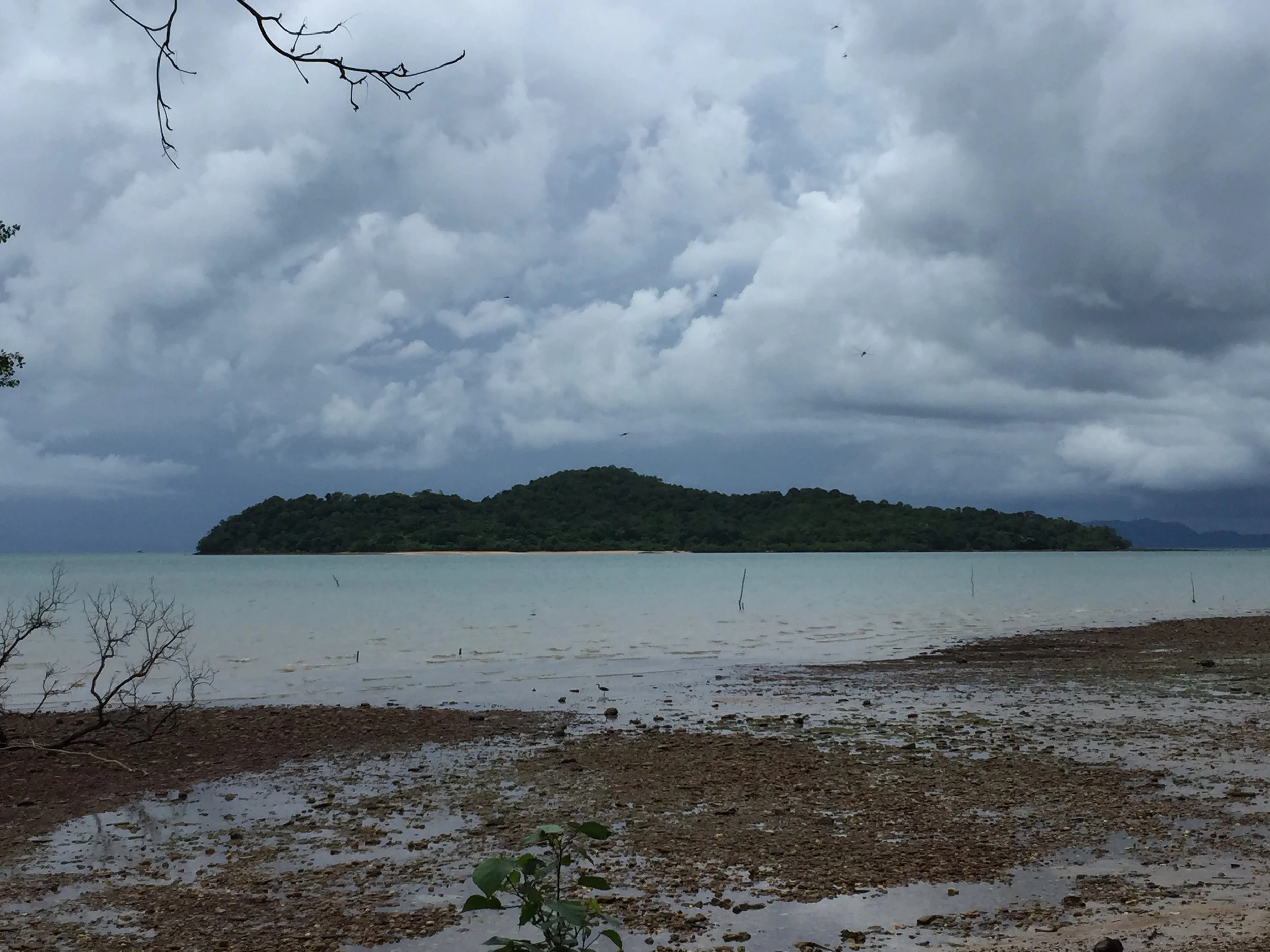 2015 Koh Lanta Garden & Nature (194).JPG