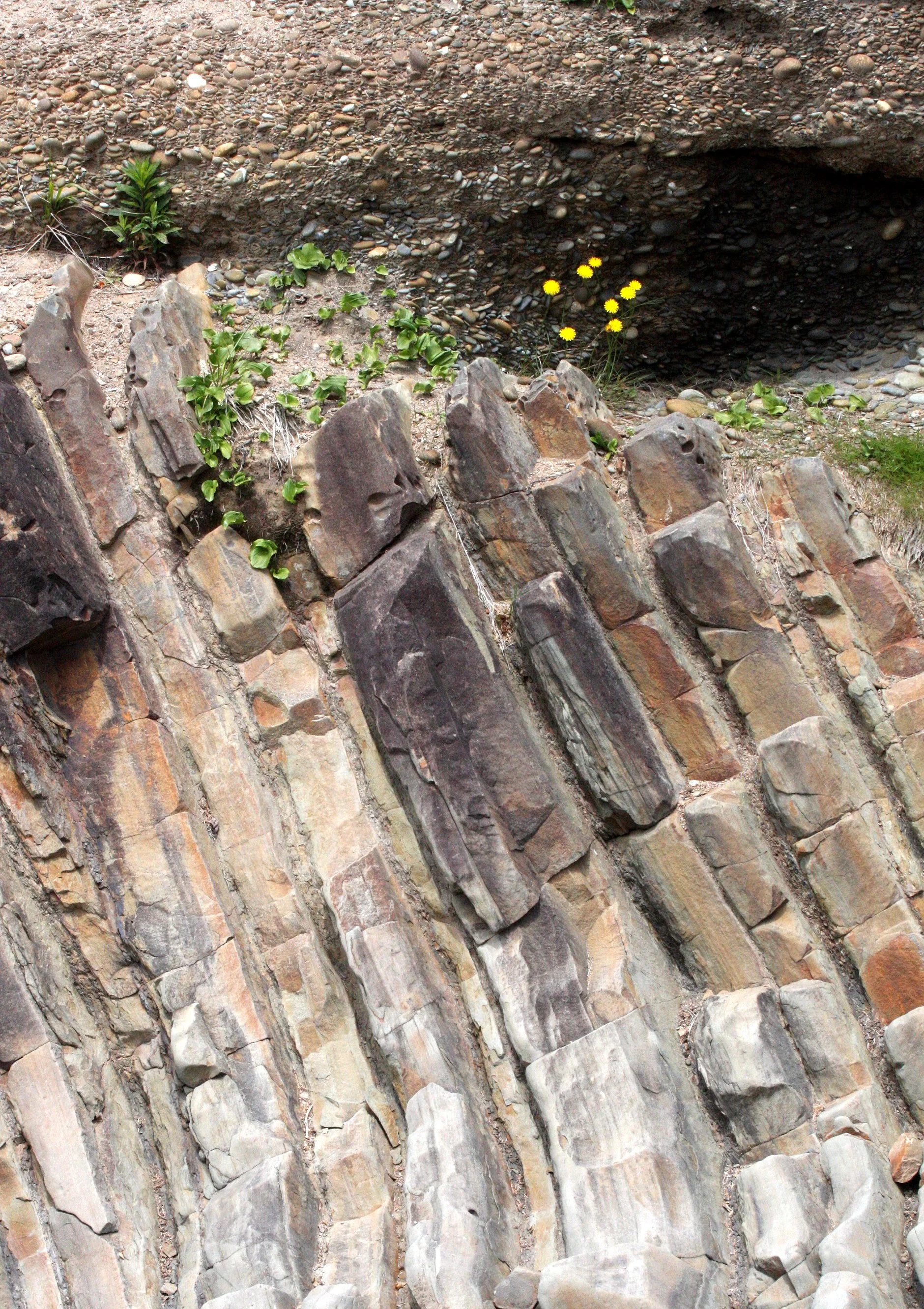 GEOLOGY - SEDIMENTARY ROCKS WITH RECENT SEDIMENT DEPOSITIONS SUPERPOSITIONED - BEACH FOUR ONP (3).JPG