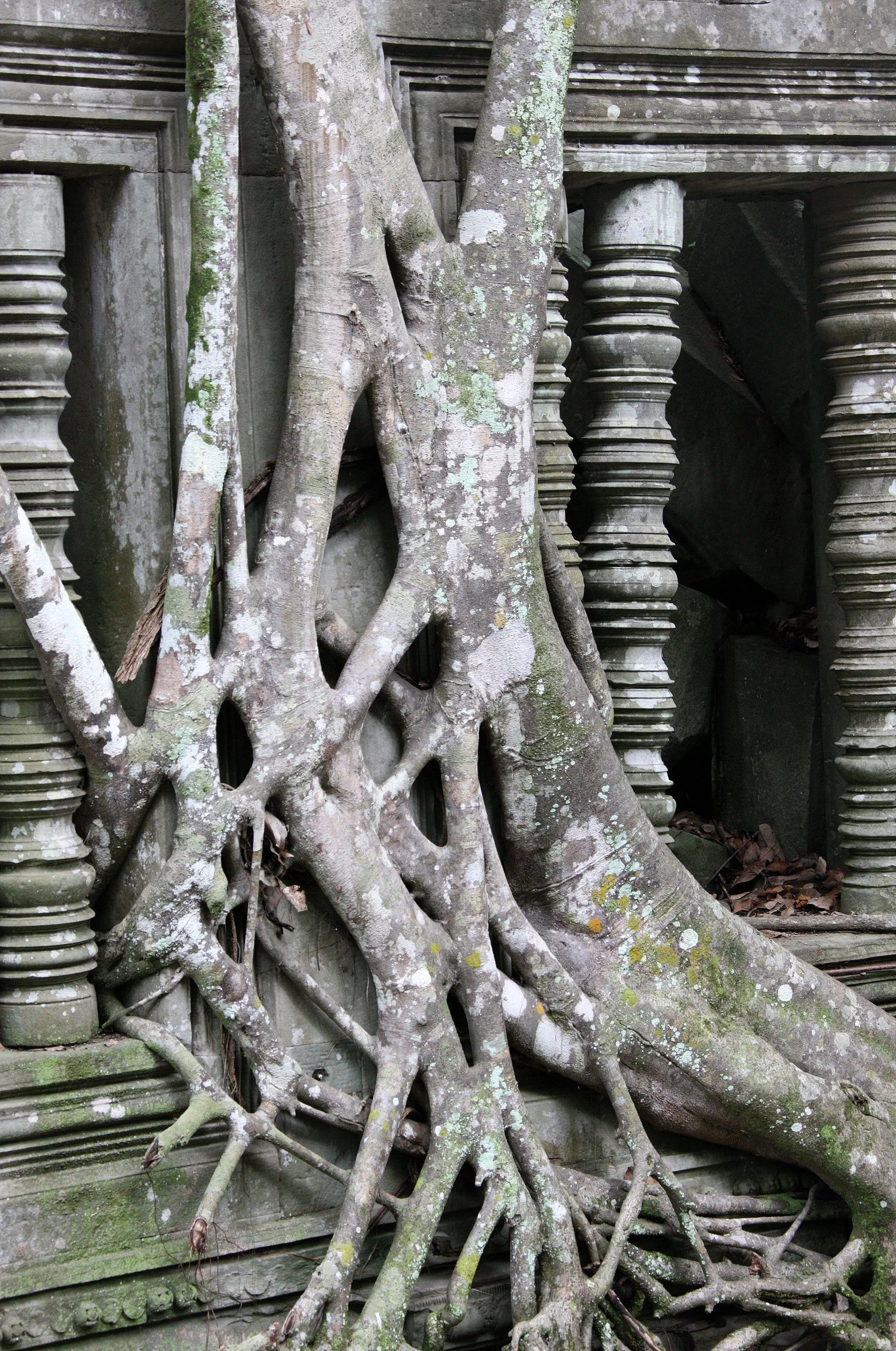 BENG MEALEA - CAMBODIA - JULY 2010 (46).JPG