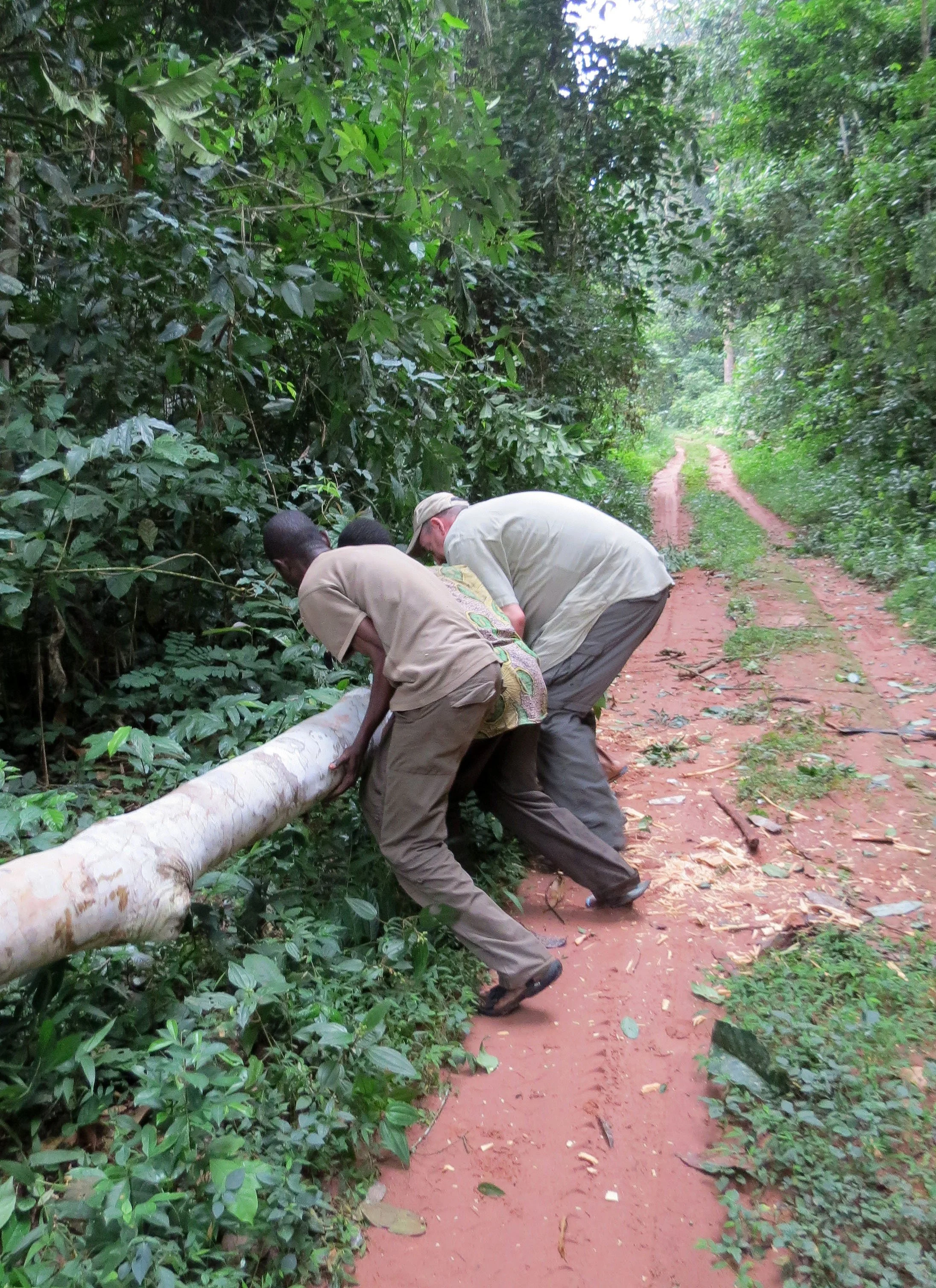 DZANGA NDOKI NATIONAL PARK  - CENTRAL AFRICAN REPUBLIC (14).JPG
